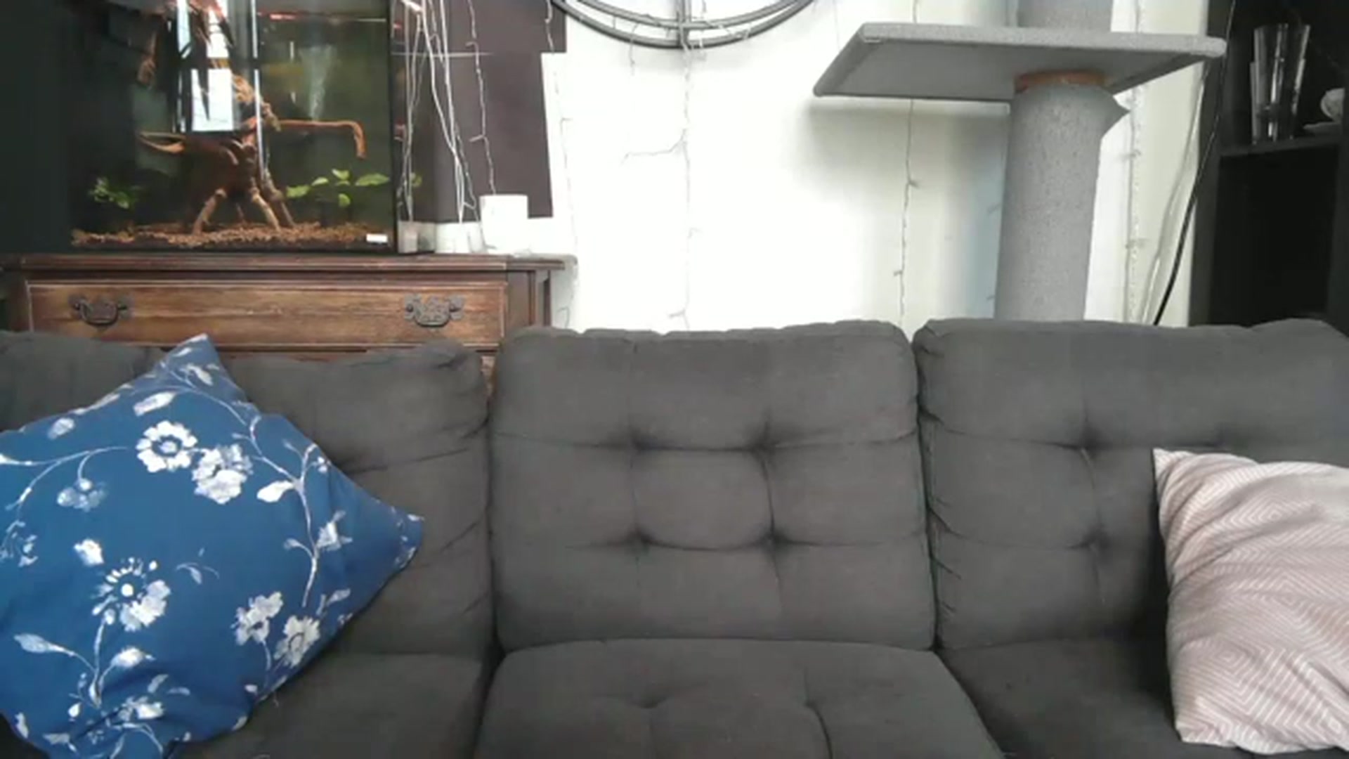 Gallery image thumbnail from AriaFields's myfreecams stream on, 07/19/2023, 17:57 image 16 of 20