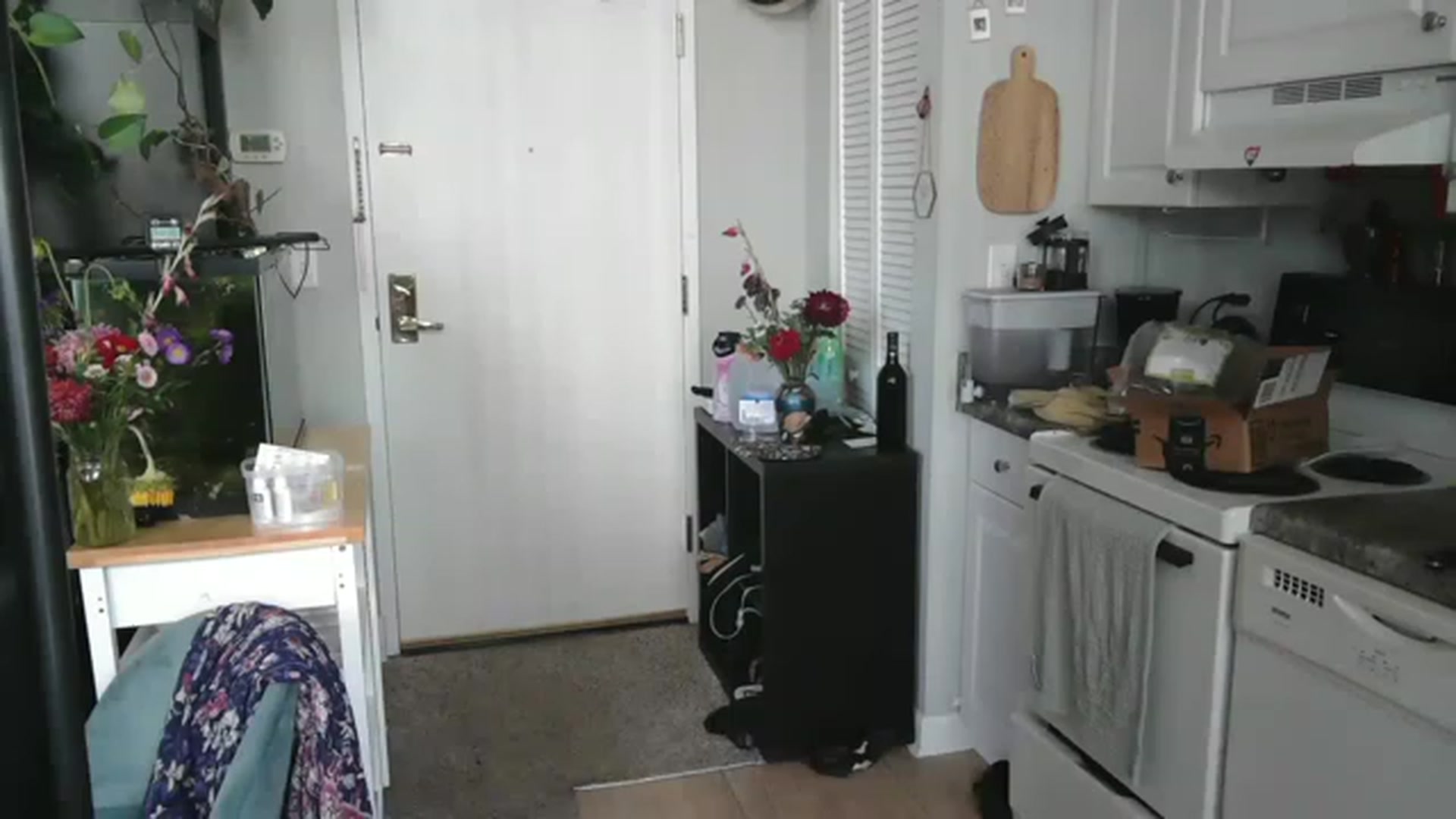 Gallery image thumbnail from AriaFields's myfreecams stream on, 07/19/2023, 18:59 image 20 of 20