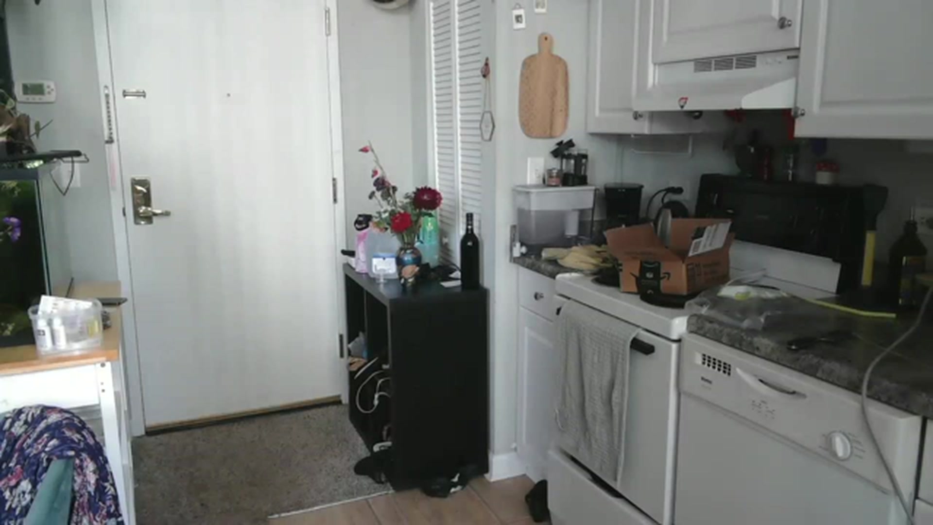 Gallery image thumbnail from AriaFields's myfreecams stream on, 07/19/2023, 18:59 image 13 of 20