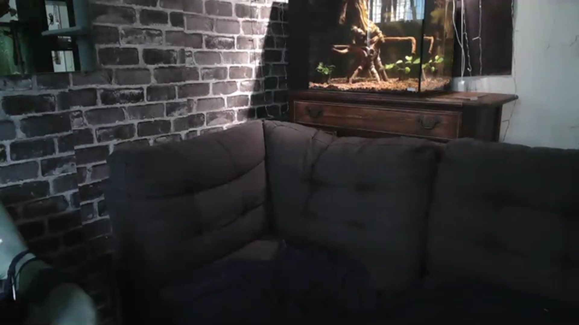 Gallery image thumbnail from AriaFields's myfreecams stream on, 07/19/2023, 23:43 image 20 of 20
