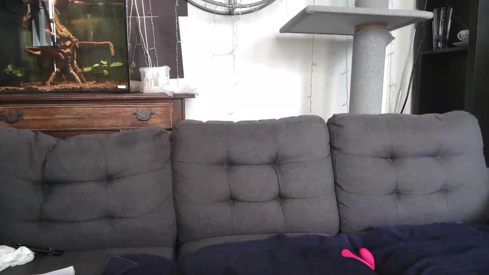 Gallery image thumbnail from AriaFields's myfreecams stream on, 07/20/2023, 18:20 image 3 of 20