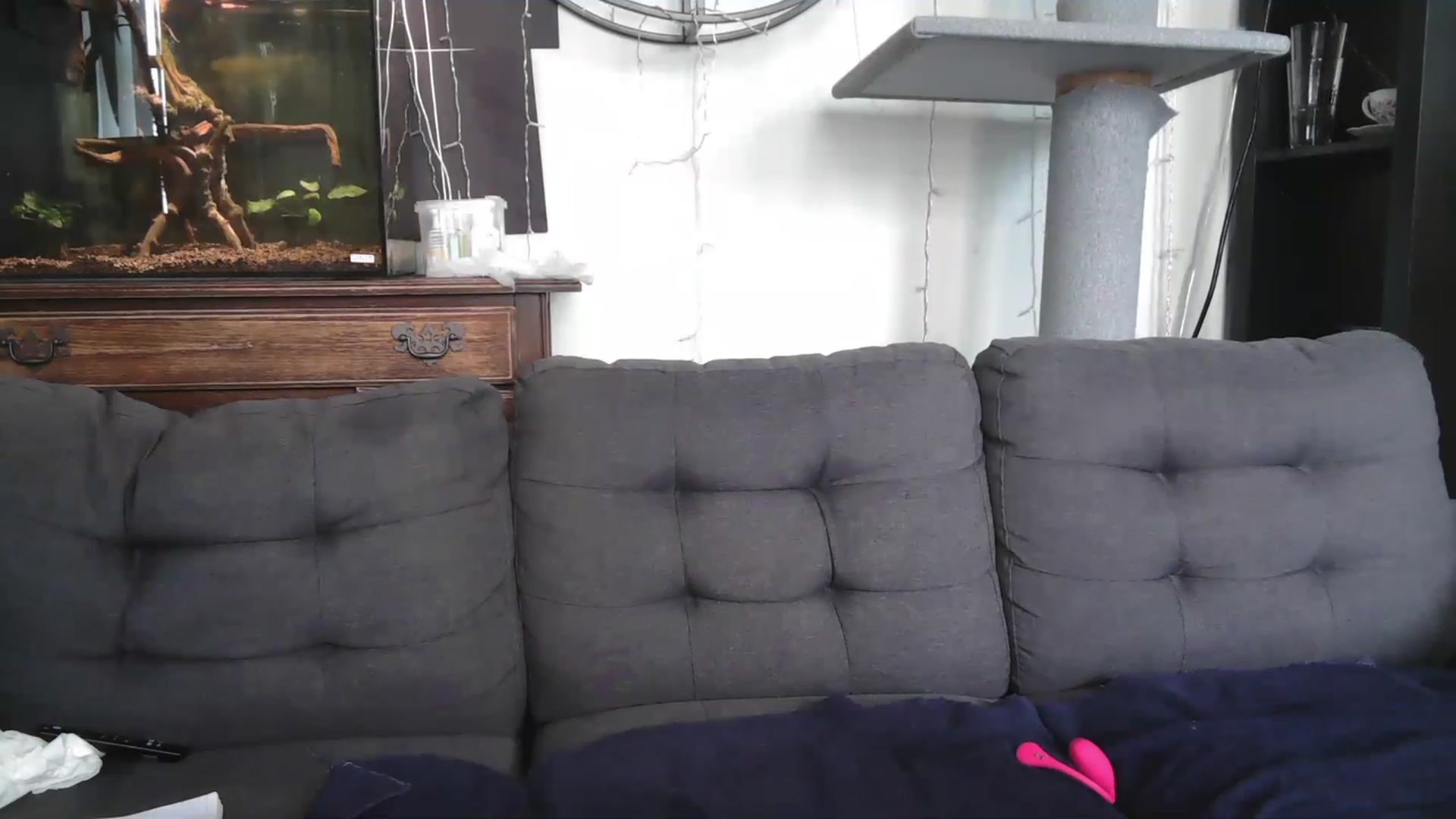 Gallery image thumbnail from AriaFields's myfreecams stream on, 07/20/2023, 18:20 image 2 of 20