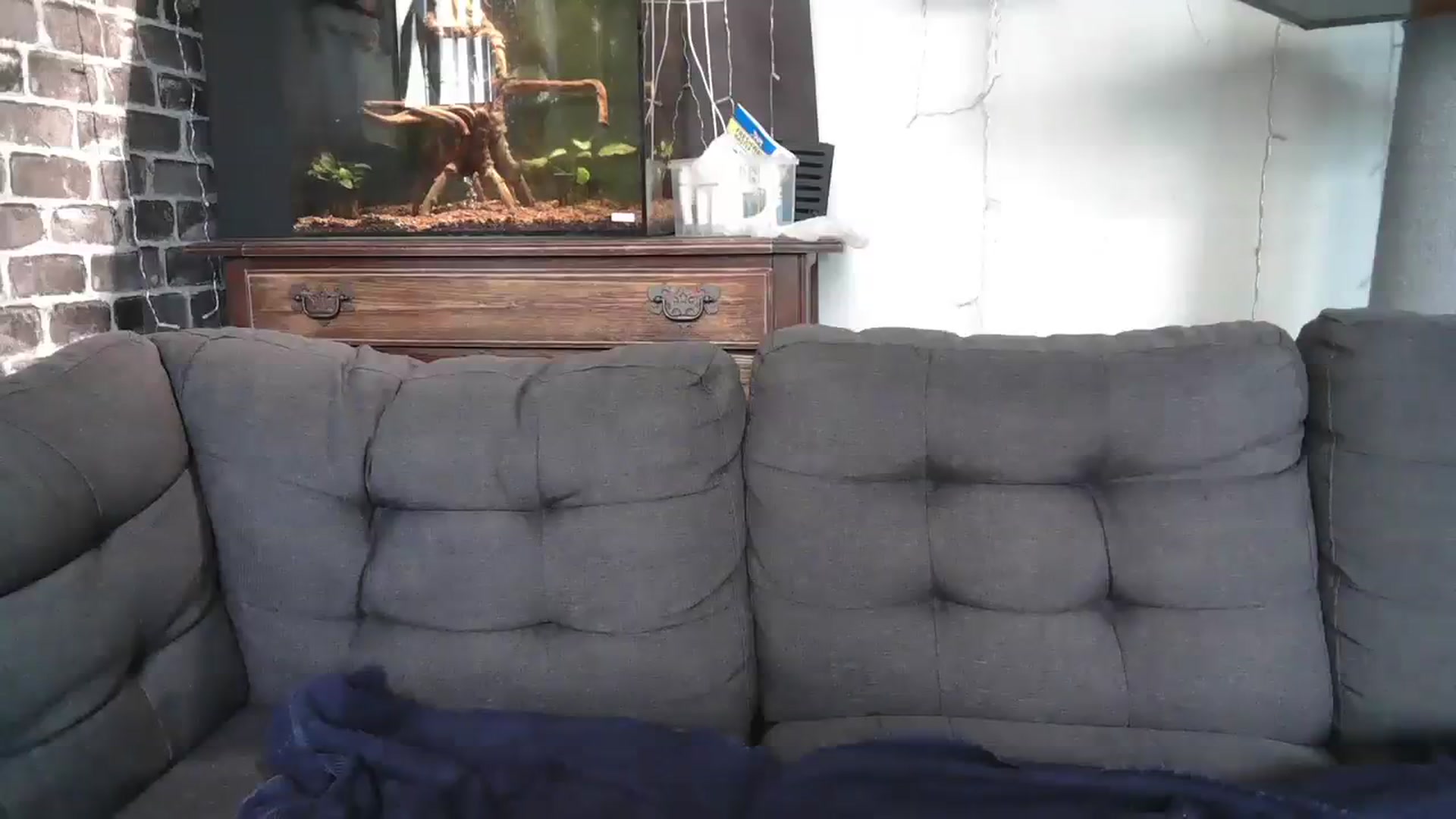 Gallery image thumbnail from AriaFields's myfreecams stream on, 07/25/2023, 21:03 image 19 of 20