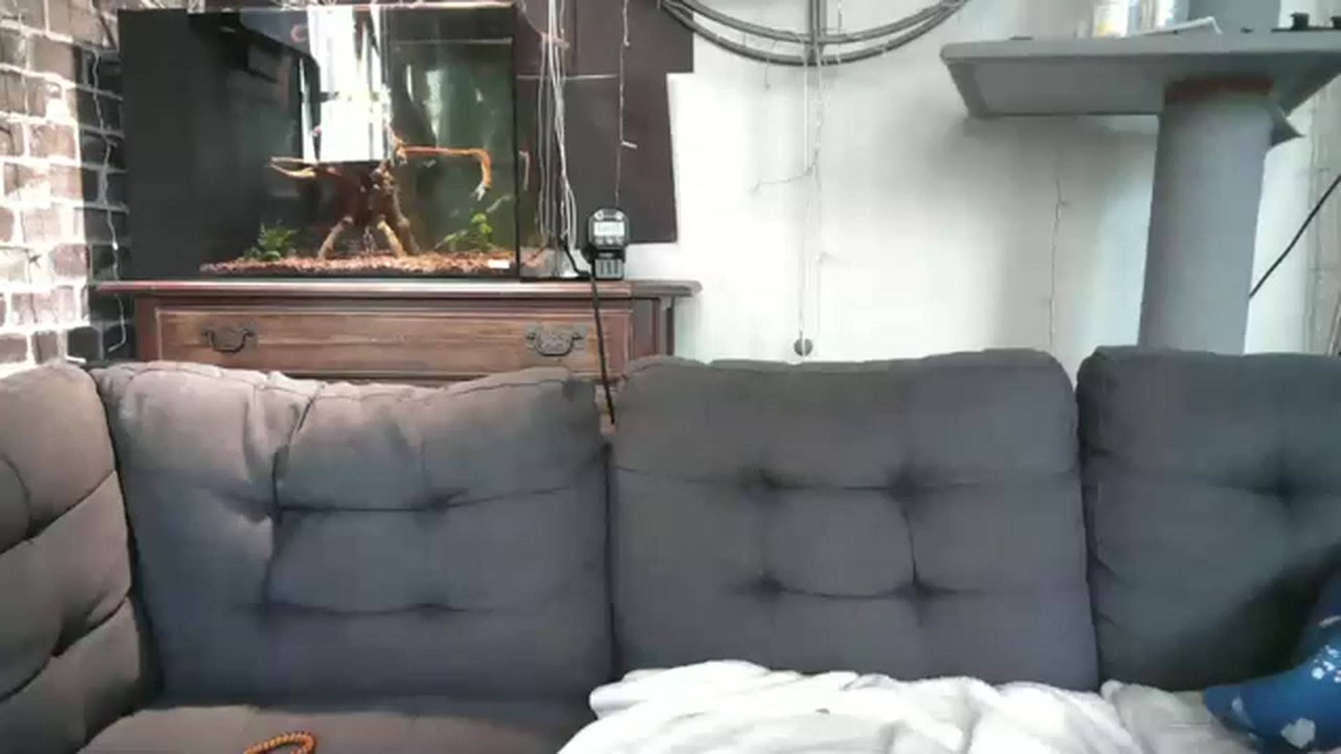 Gallery image thumbnail from AriaFields's myfreecams stream on, 07/27/2023, 21:27 image 19 of 20