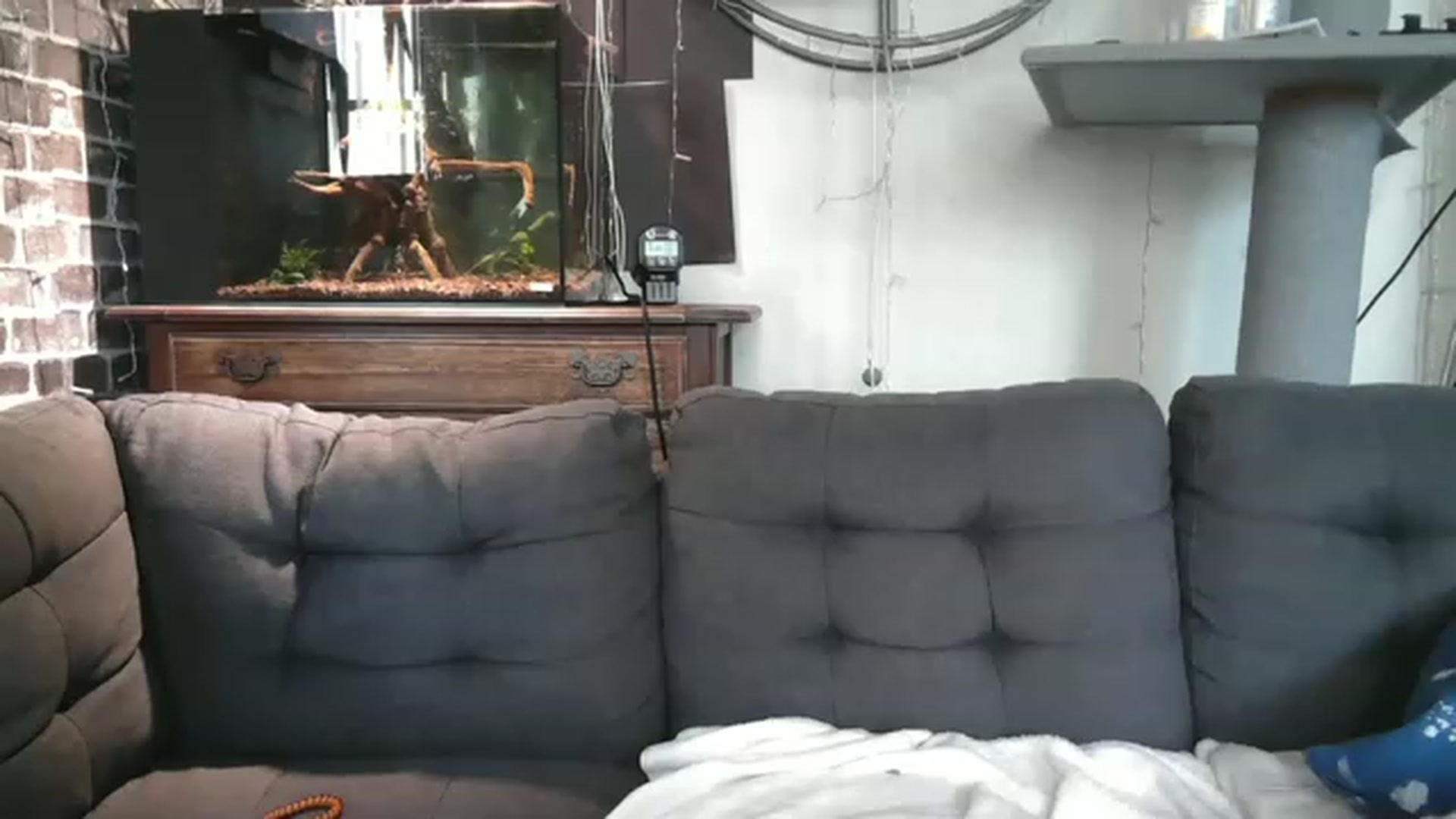 Gallery image thumbnail from AriaFields's myfreecams stream on, 07/27/2023, 21:27 image 20 of 20
