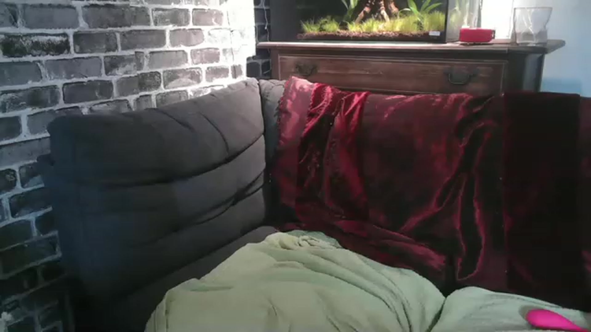 Gallery image thumbnail from AriaFields's myfreecams stream on, 08/04/2023, 22:45 image 18 of 20