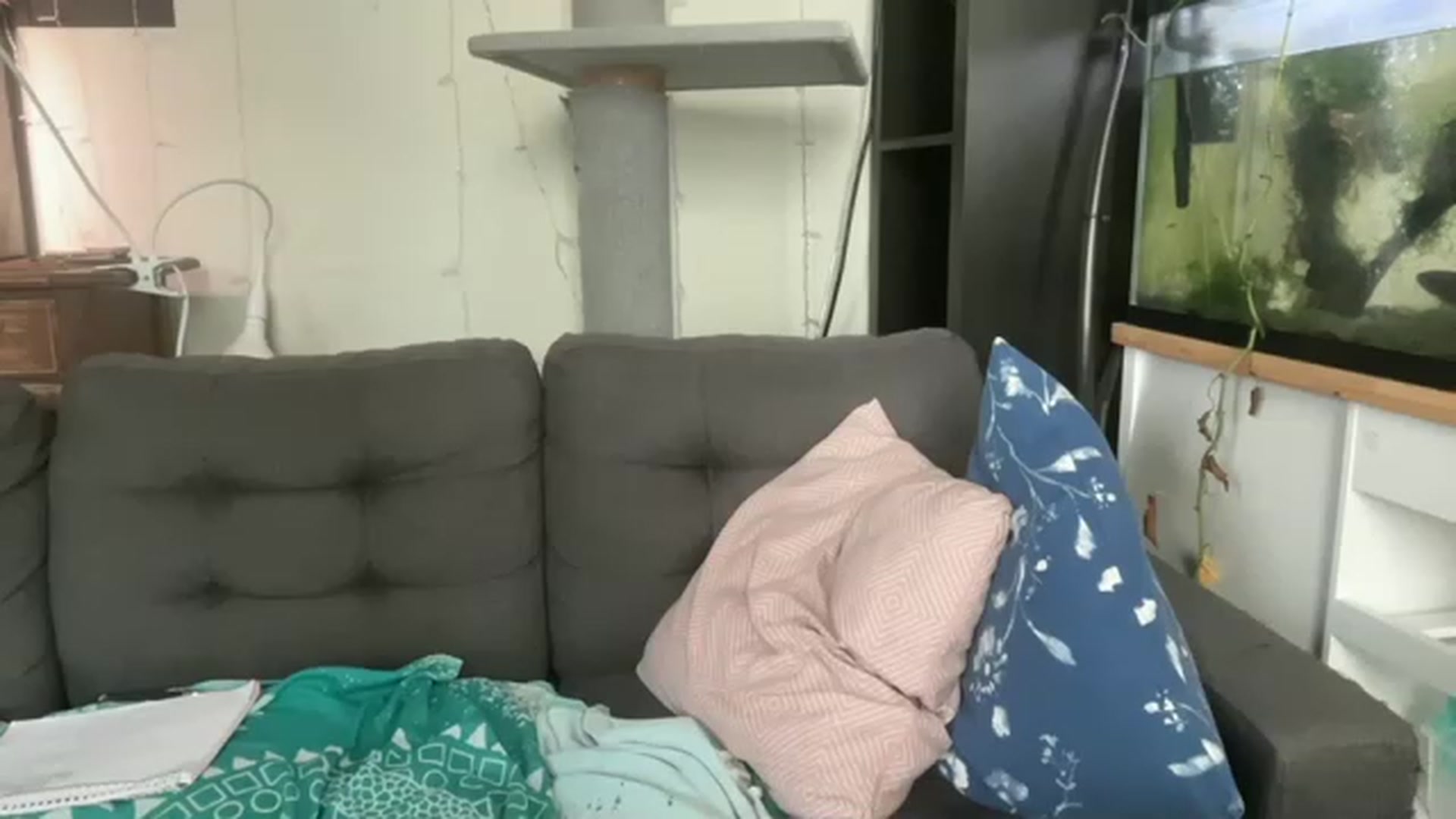 Gallery image thumbnail from AriaFields's myfreecams stream on, 08/16/2023, 19:30 image 10 of 20