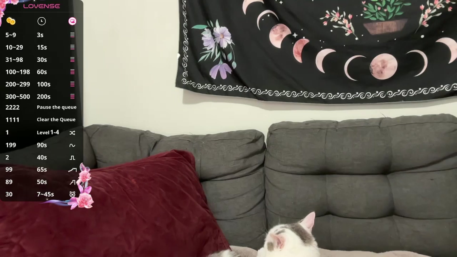 Gallery image thumbnail from AriaFields's myfreecams stream on, 06/25/2025, 24:01 image 5 of 20