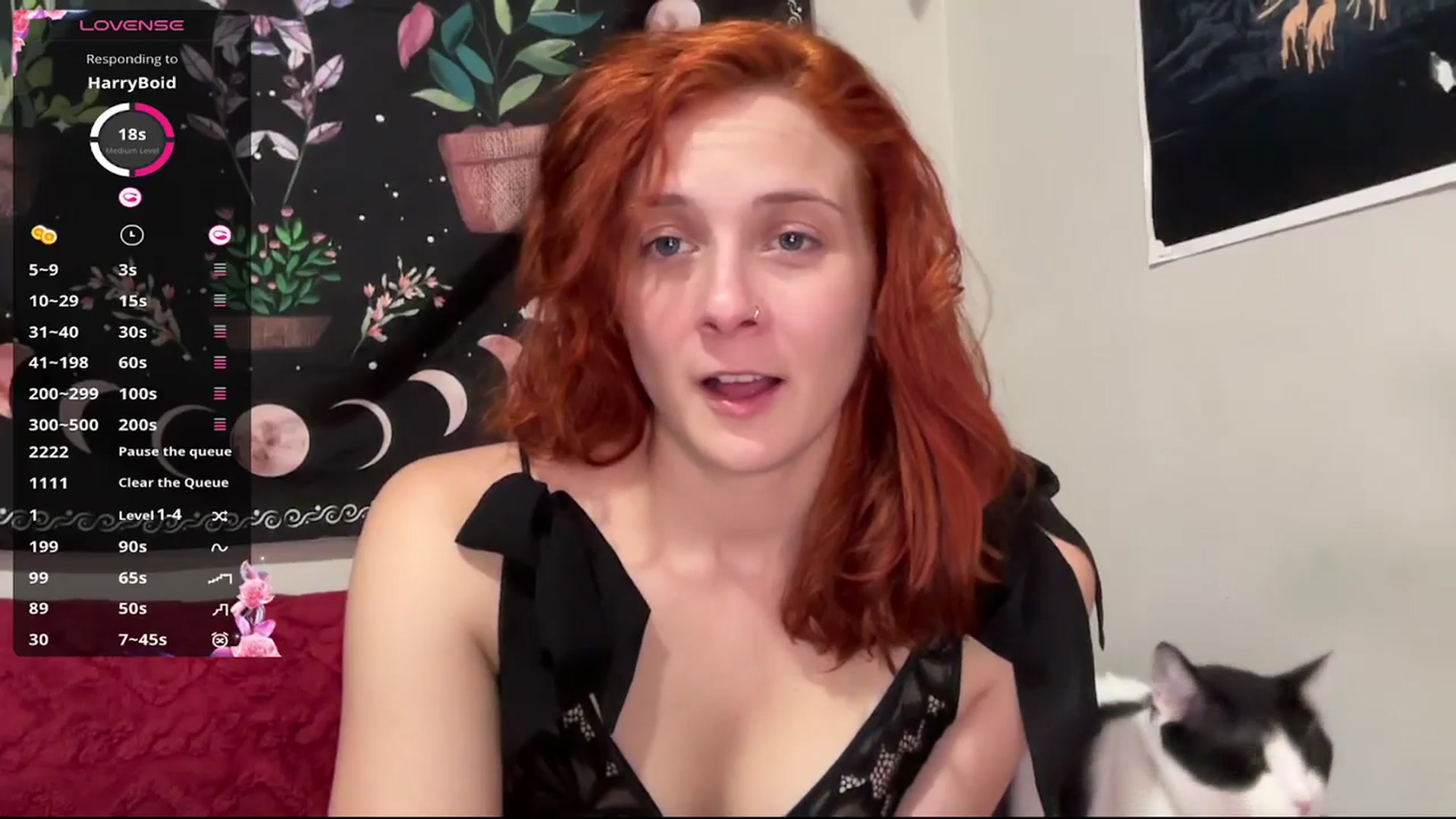 Gallery image thumbnail from AriaFields's myfreecams stream on, 12/30/2025, 24:01 image 3 of 20