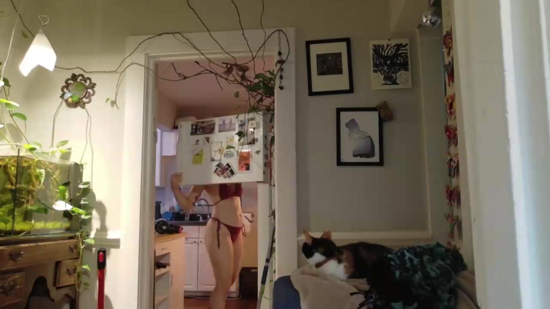 Gallery image thumbnail from AriaFields's myfreecams stream on, 08/15/2026, 24:18 image 6 of 20