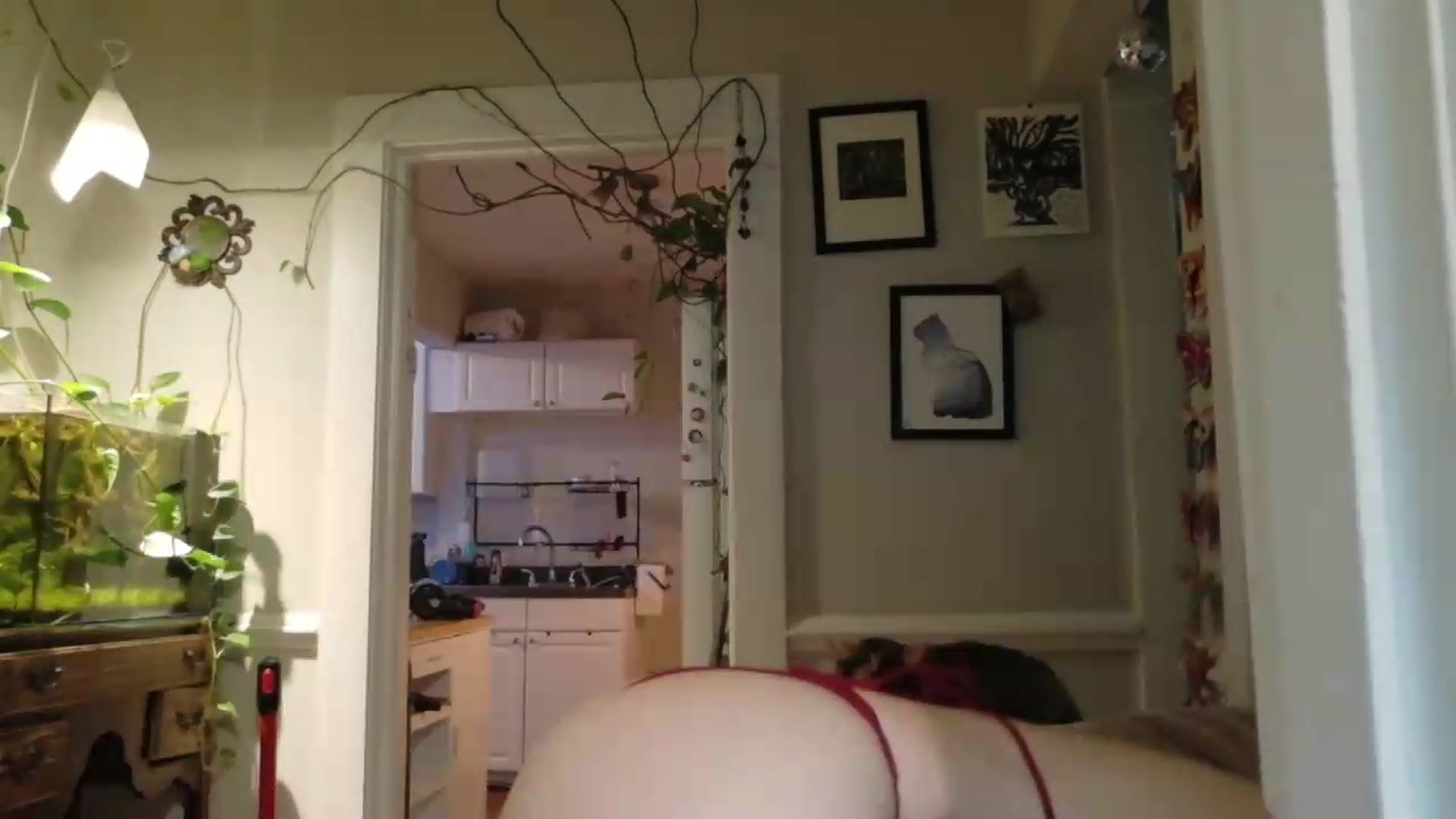 Gallery image thumbnail from AriaFields's myfreecams stream on, 08/15/2026, 24:18 image 5 of 20