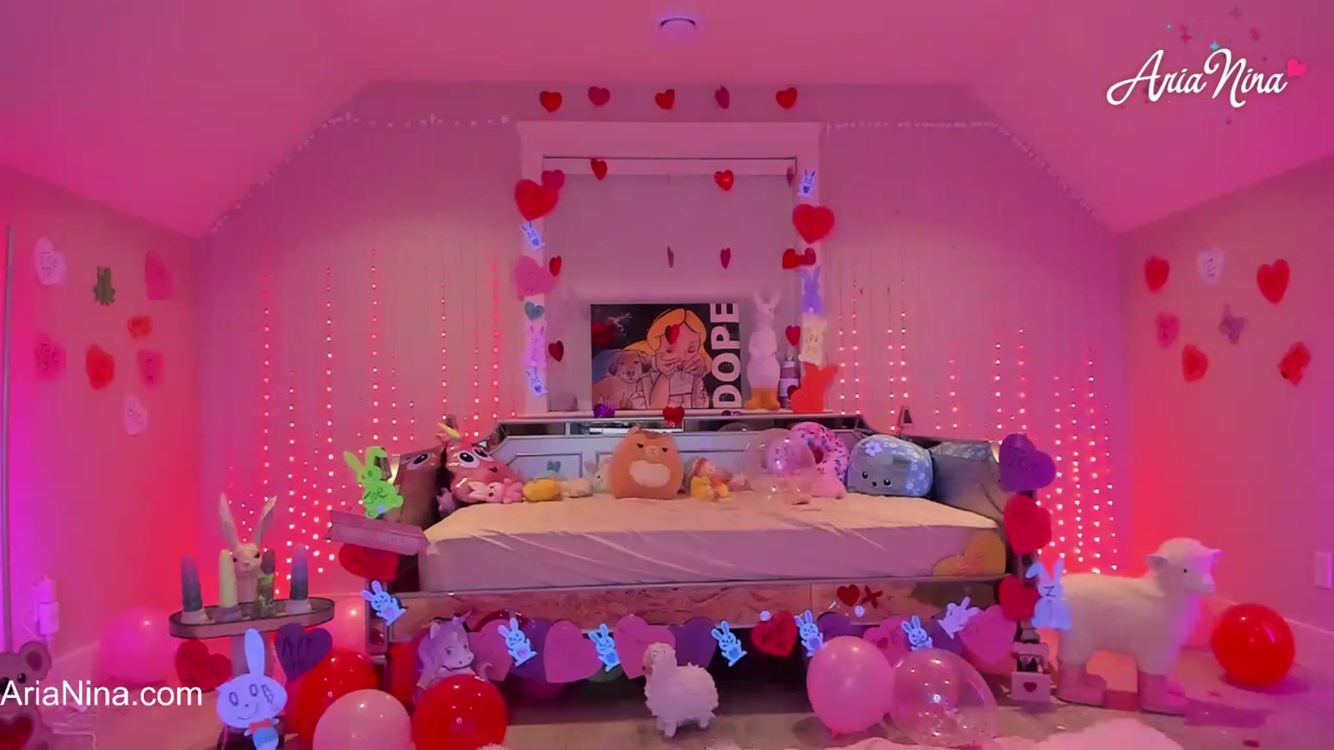 Gallery image thumbnail from AriaNina's myfreecams stream on, 02/26/2024, 04:01 image 11 of 20