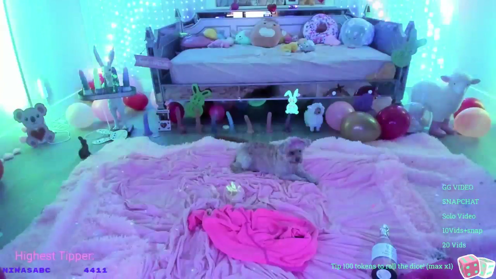 Gallery image thumbnail from AriaNina's myfreecams stream on, 03/25/2024, 04:06 image 14 of 20