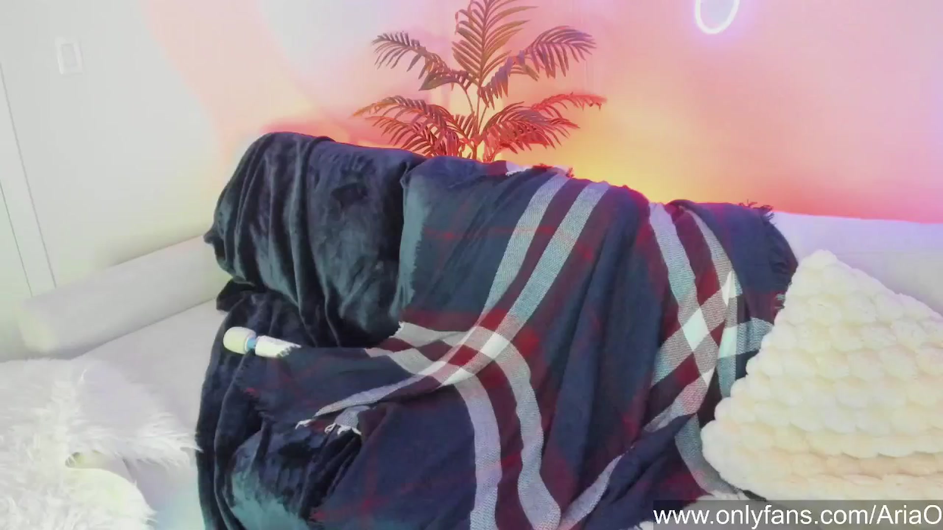 Gallery image thumbnail from AriaO's myfreecams stream on, 10/02/2024, 04:19 image 17 of 20