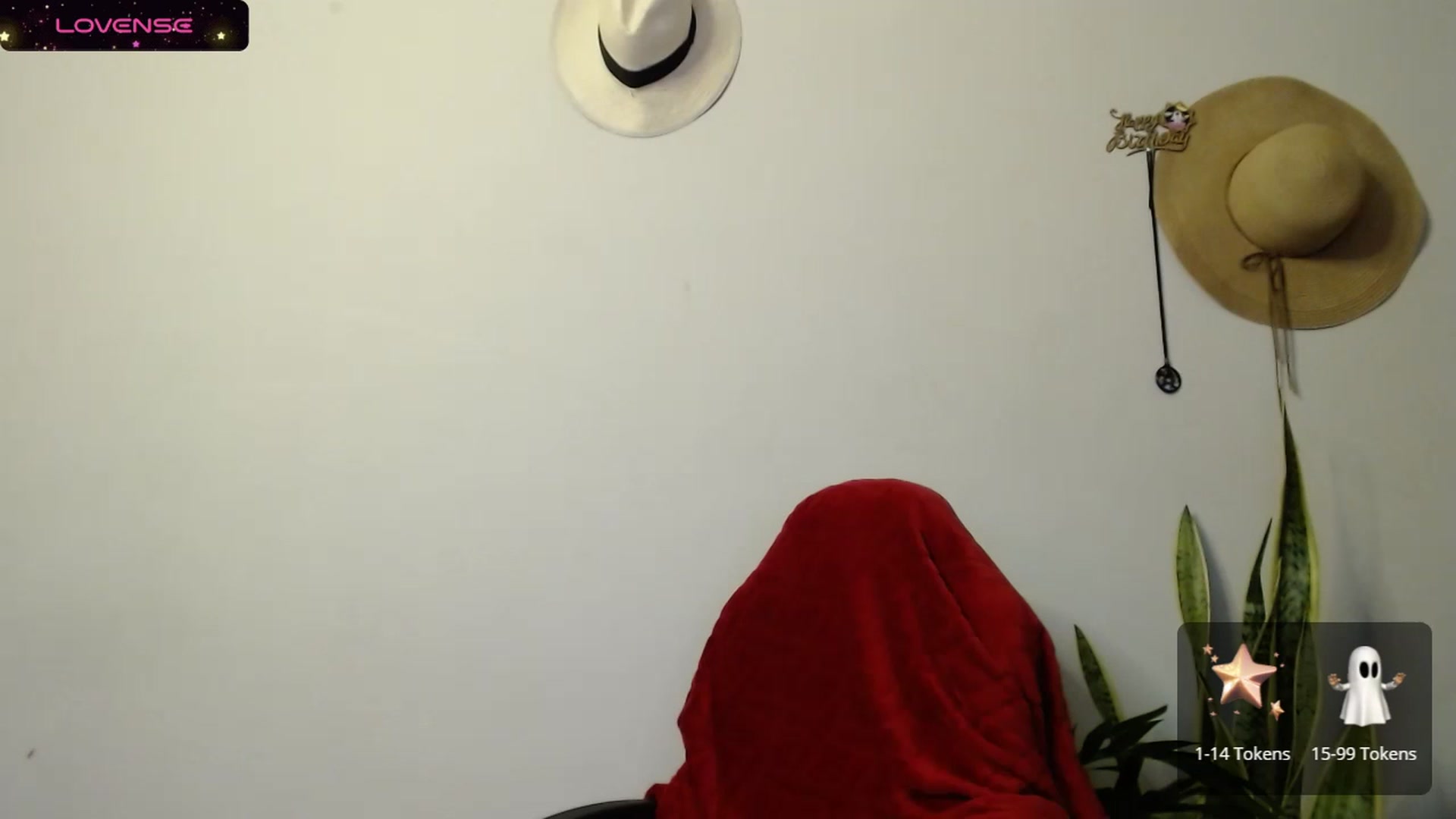 Gallery image thumbnail from Ariagaleo's myfreecams stream on, 11/01/2023, 21:26 image 12 of 20