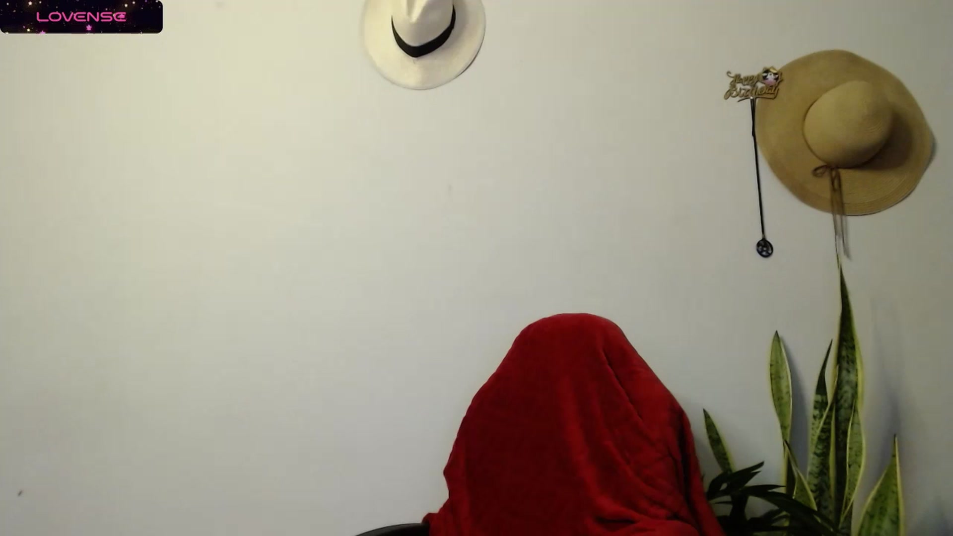 Gallery image thumbnail from Ariagaleo's myfreecams stream on, 11/01/2023, 21:26 image 13 of 20