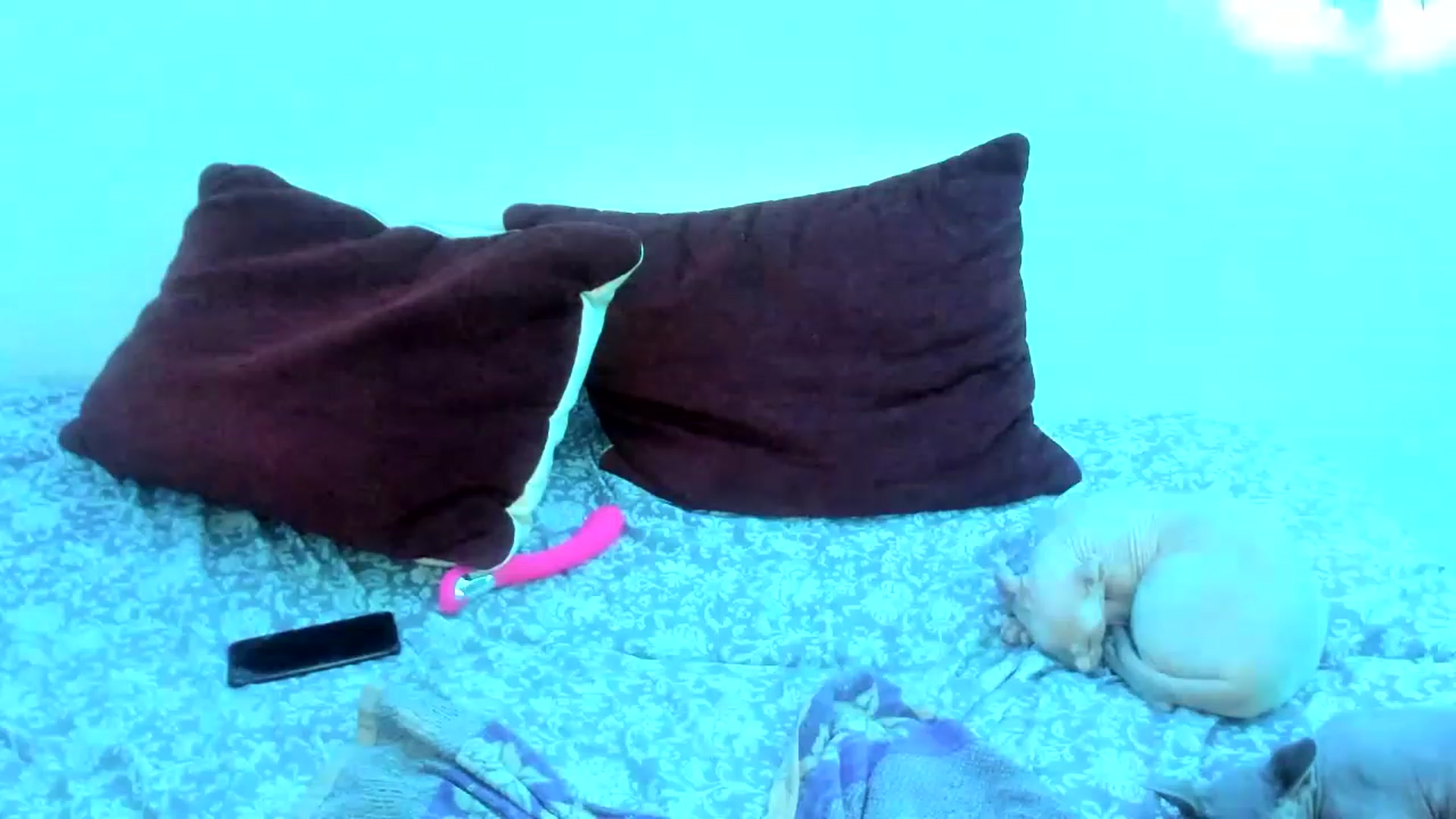 Gallery image thumbnail from AriahKiss's myfreecams stream on, 04/14/2023, 19:05 image 11 of 20