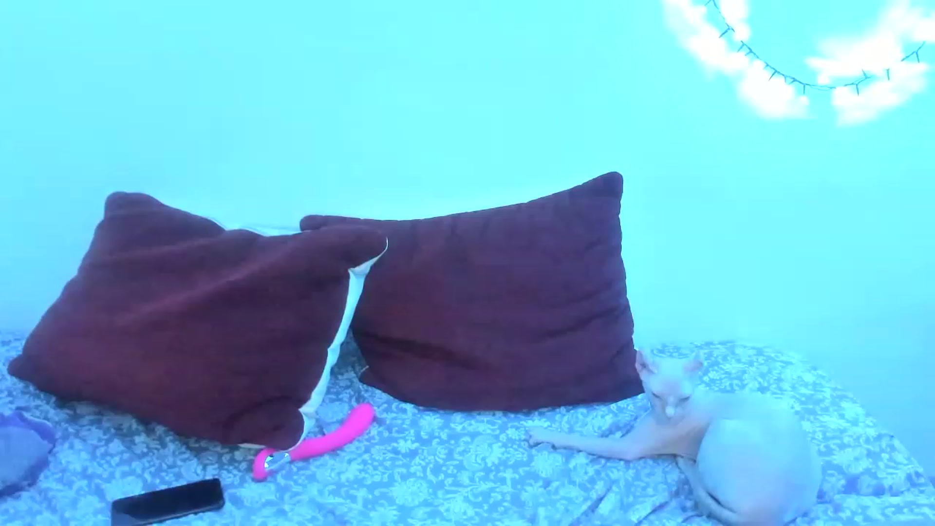 Gallery image thumbnail from AriahKiss's myfreecams stream on, 04/14/2023, 19:05 image 4 of 20