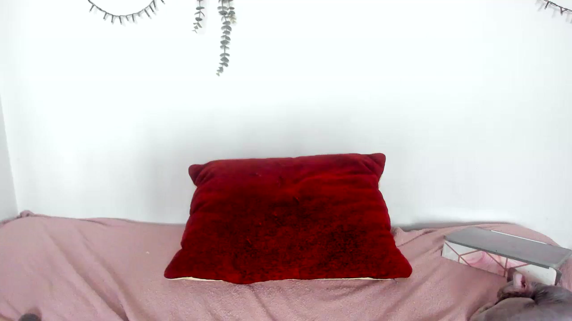 Gallery image thumbnail from AriahKiss's myfreecams stream on, 08/18/2023, 16:25 image 10 of 20