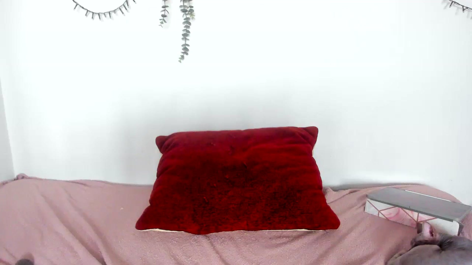 Gallery image thumbnail from AriahKiss's myfreecams stream on, 08/18/2023, 16:25 image 13 of 20