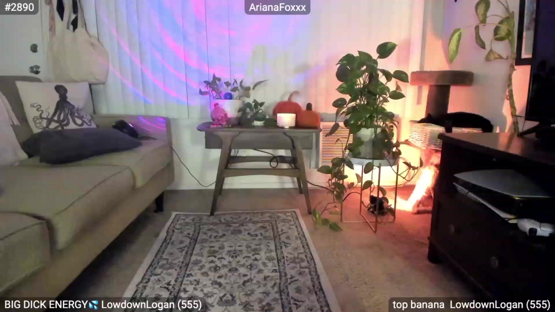 Gallery image thumbnail from ArianaFoxxx's myfreecams stream on, 11/22/2022, 09:43 image 4 of 20