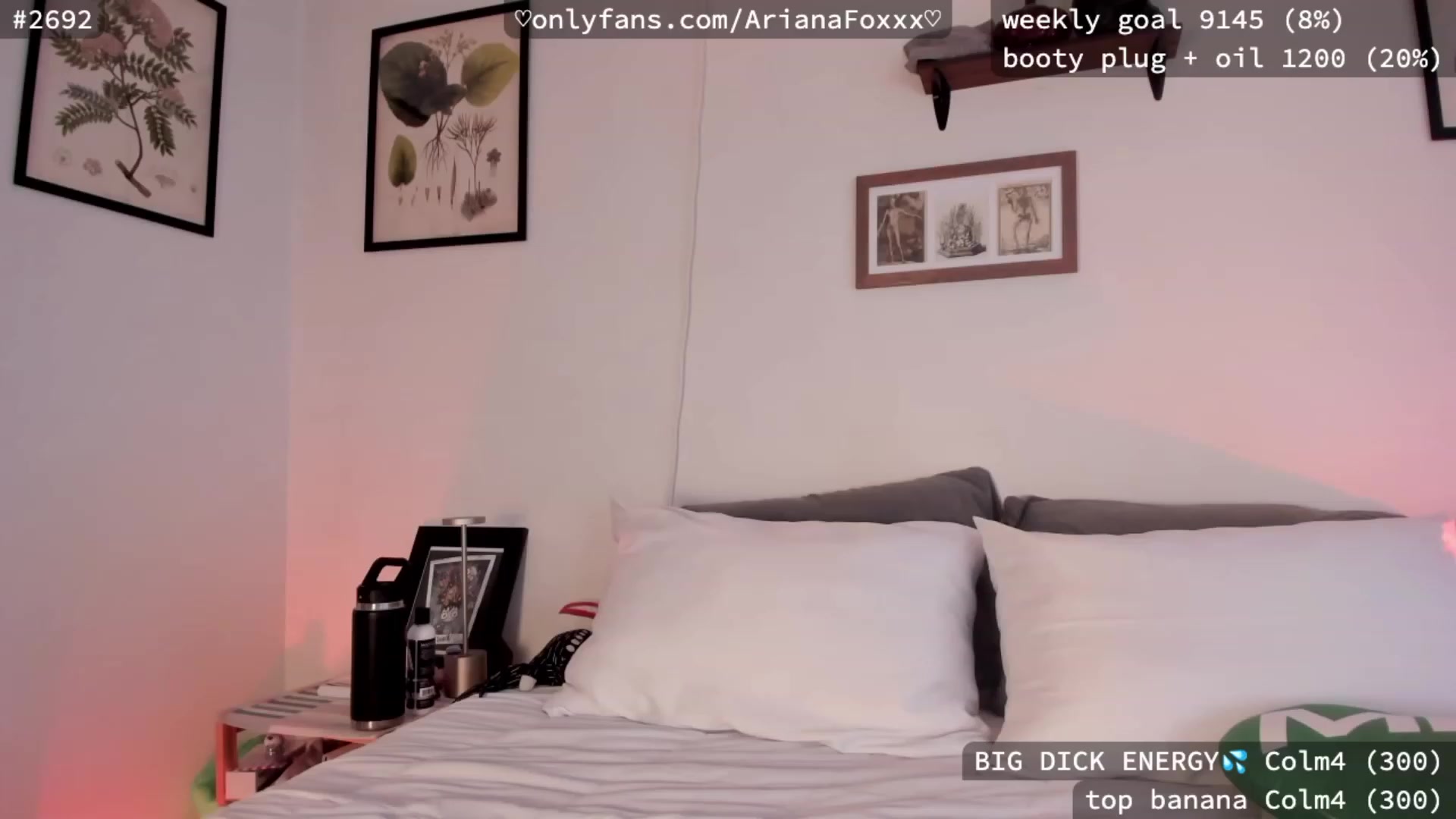 Gallery image thumbnail from ArianaFoxxx's myfreecams stream on, 09/30/2023, 23:44 image 2 of 20