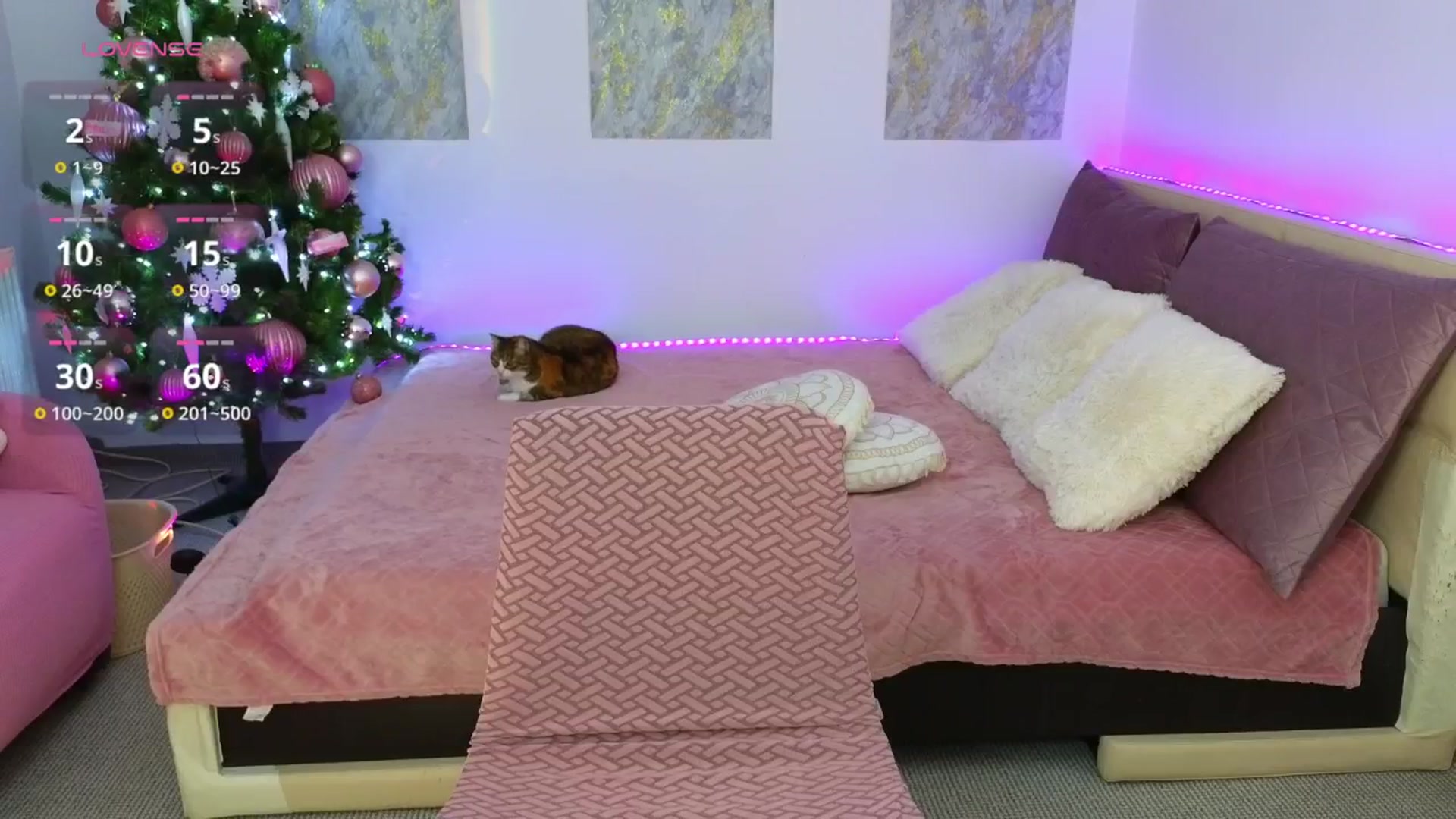 Gallery image thumbnail from ArielDiamond's myfreecams stream on, 12/17/2025, 20:58 image 8 of 20