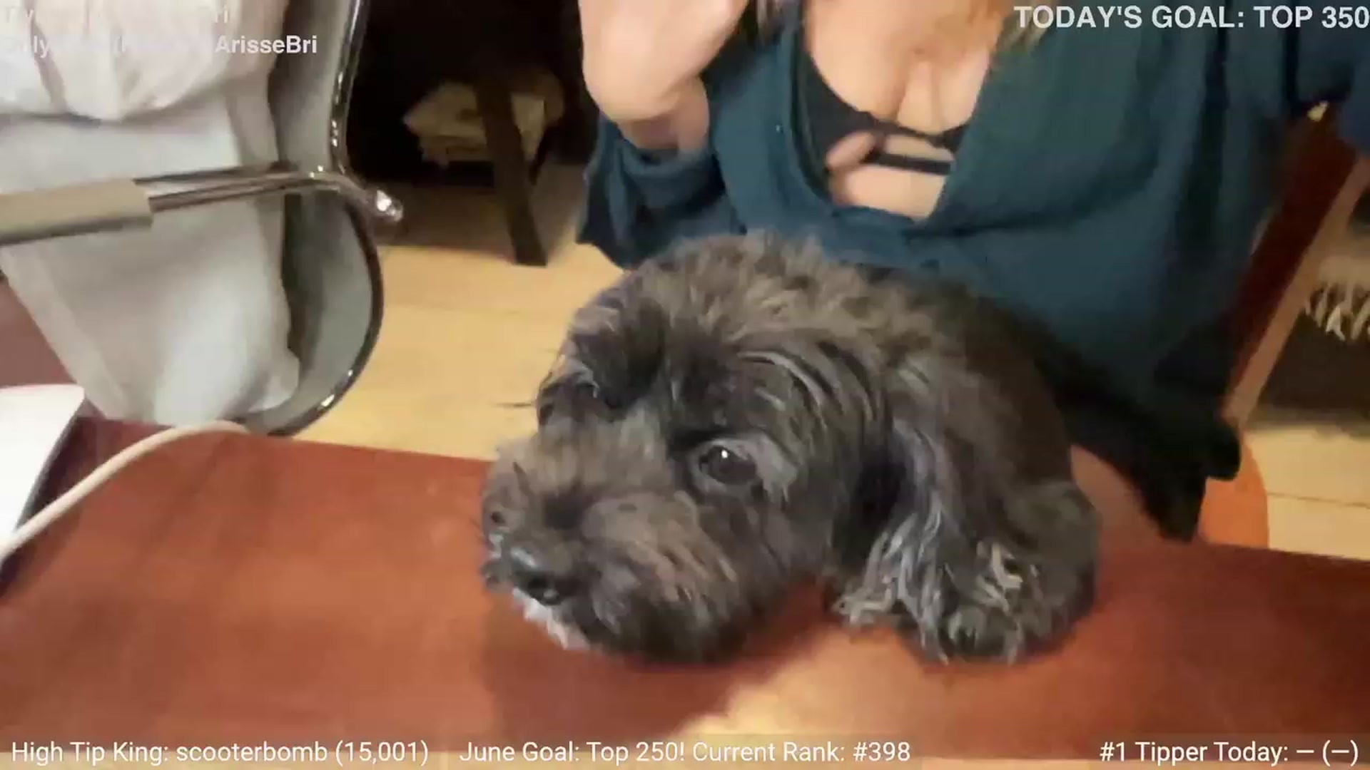 Gallery image thumbnail from ArisseBri's myfreecams stream on, 06/27/2023, 03:12 image 1 of 20
