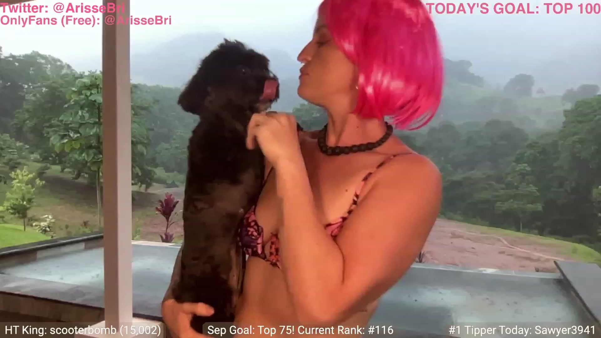 Gallery image thumbnail from ArisseBri's myfreecams stream on, 09/17/2023, 22:46 image 12 of 20