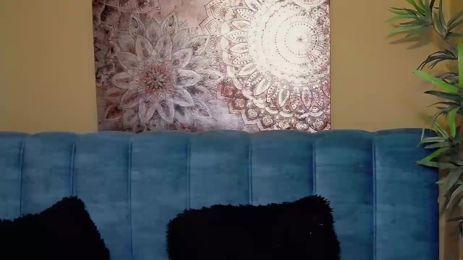 Gallery image thumbnail from Artemiss's myfreecams stream on, 09/13/2024, 17:39 image 8 of 20