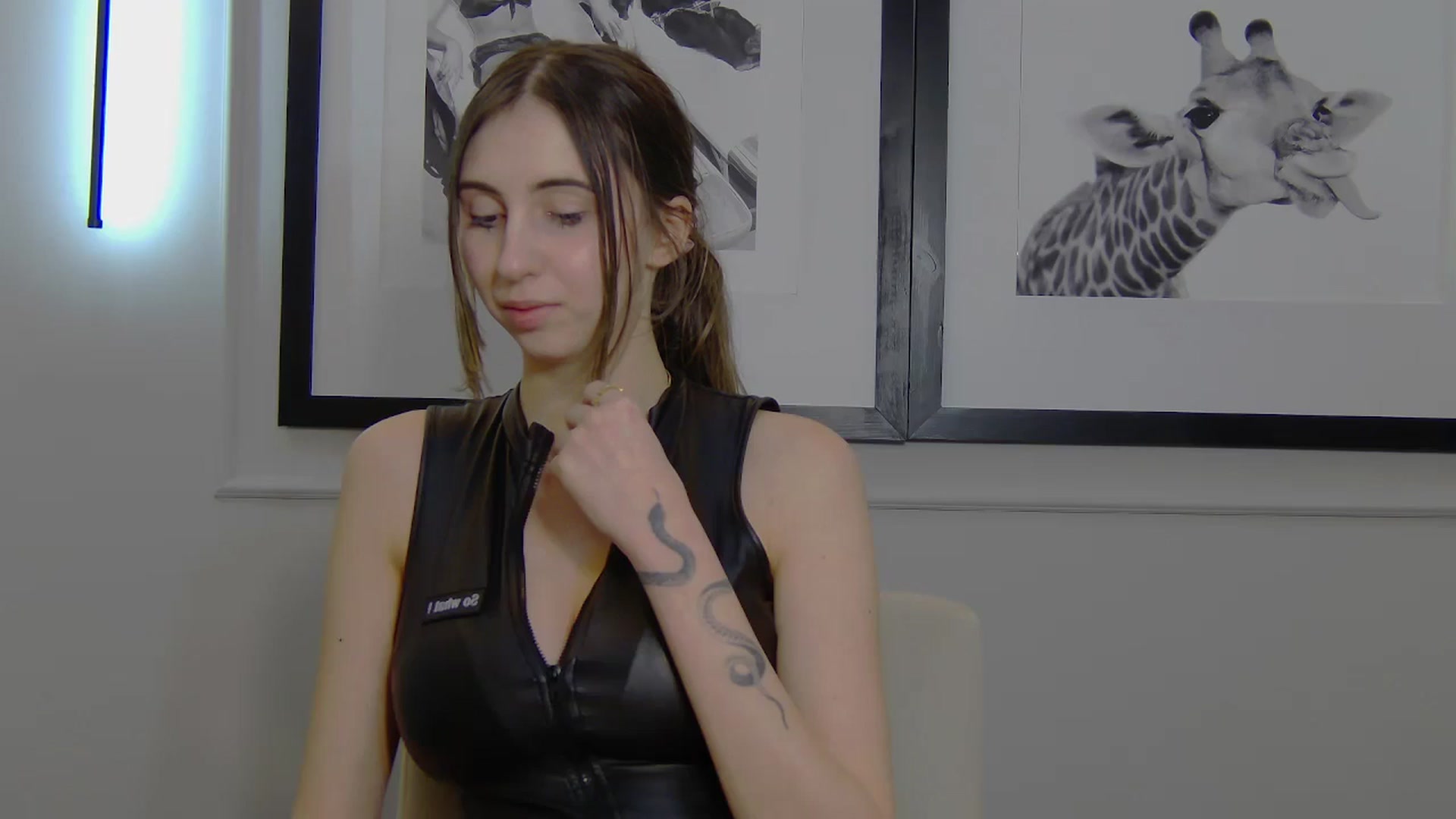 Gallery image thumbnail from Artemiss's myfreecams stream on, 03/20/2025, 21:24 image 1 of 20