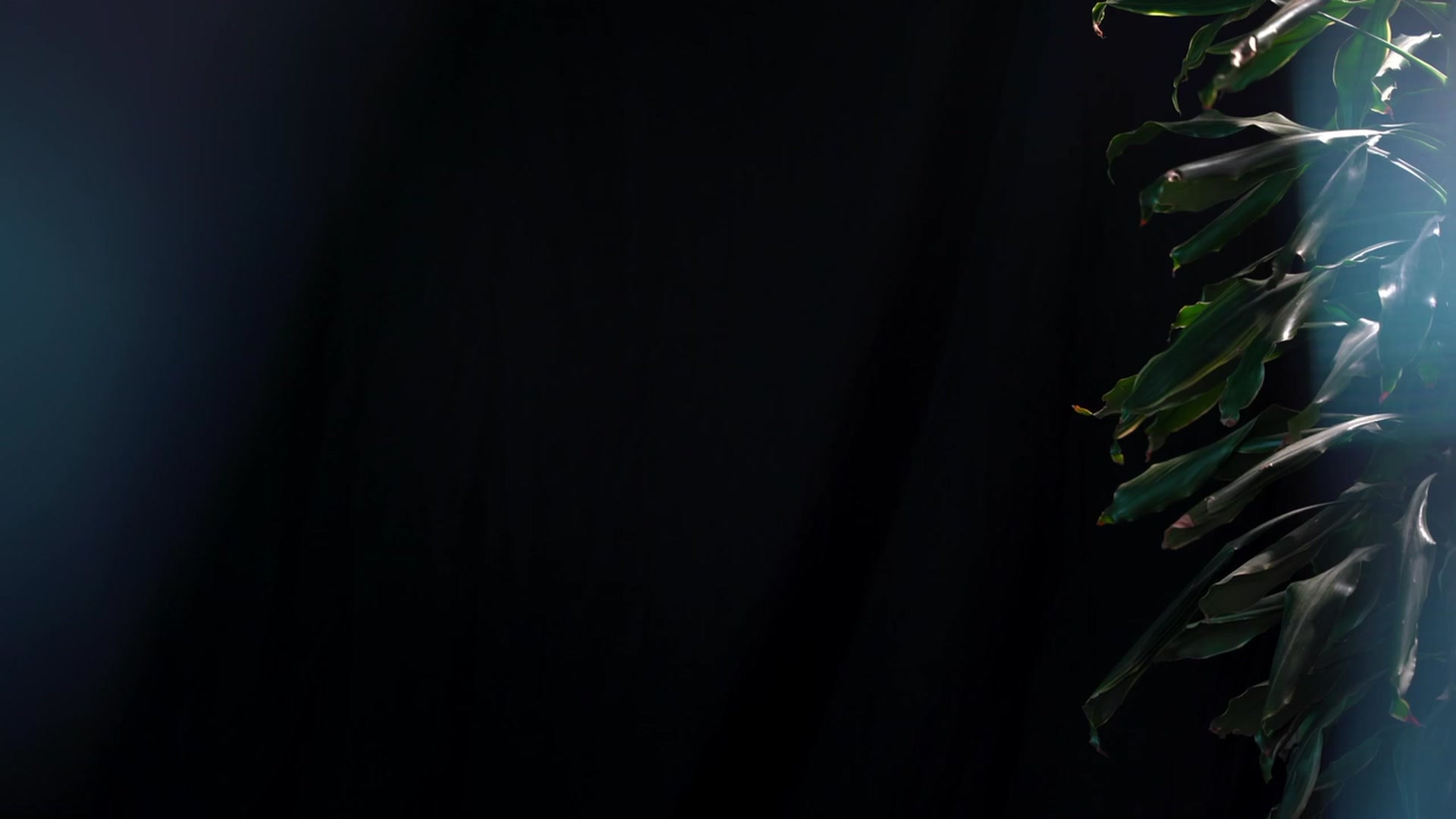 Gallery image thumbnail from Artlene's myfreecams stream on, 07/23/2023, 01:53 image 17 of 20