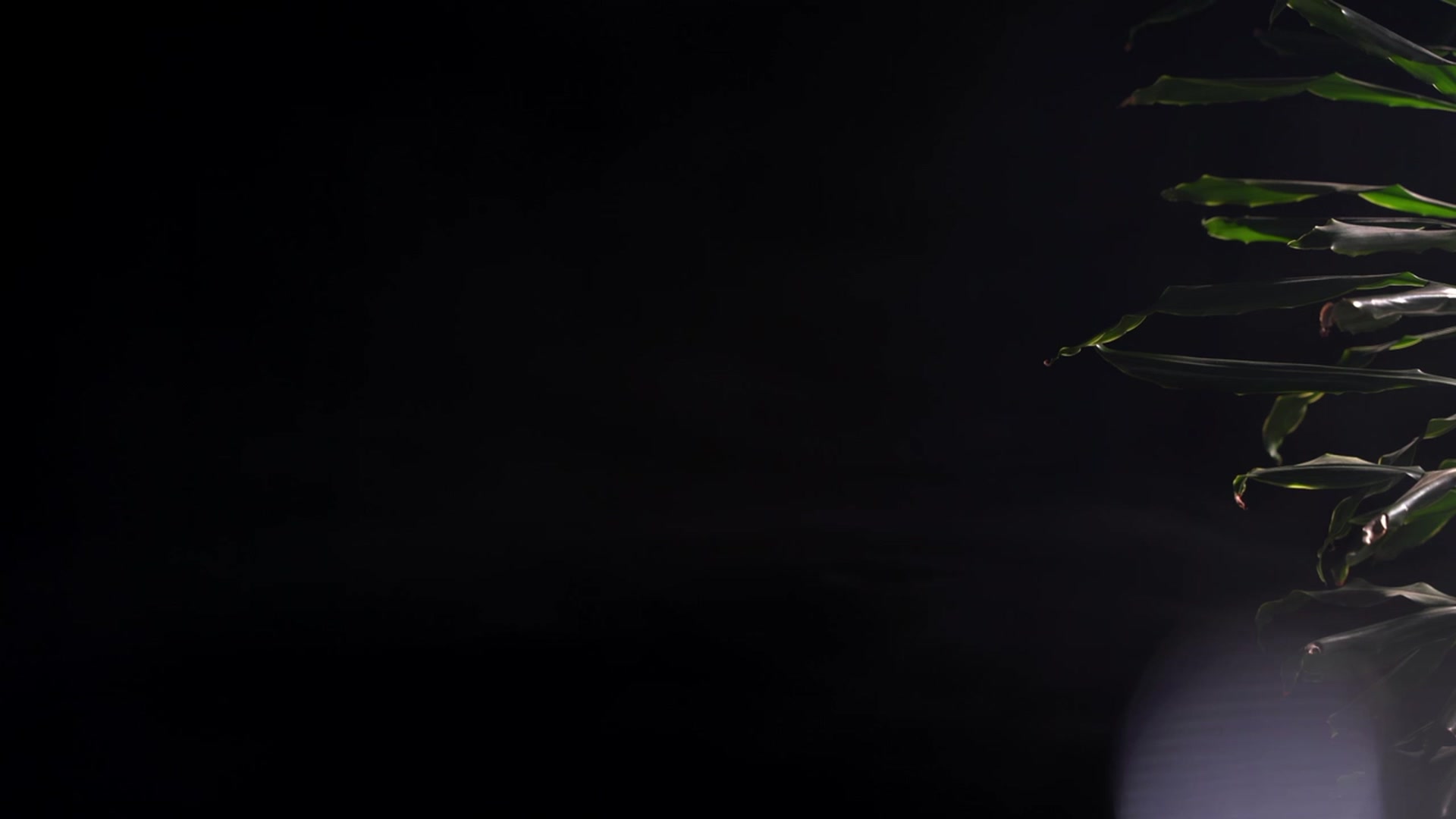 Gallery image thumbnail from Artlene's myfreecams stream on, 07/23/2023, 02:24 image 13 of 20