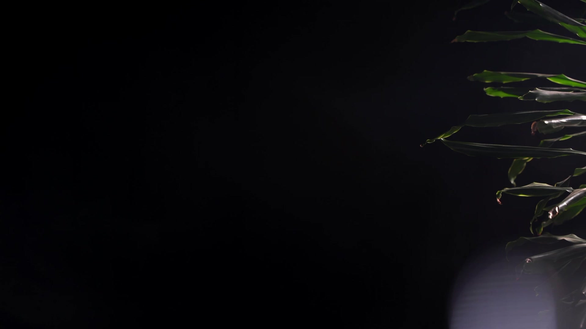 Gallery image thumbnail from Artlene's myfreecams stream on, 07/23/2023, 02:24 image 12 of 20