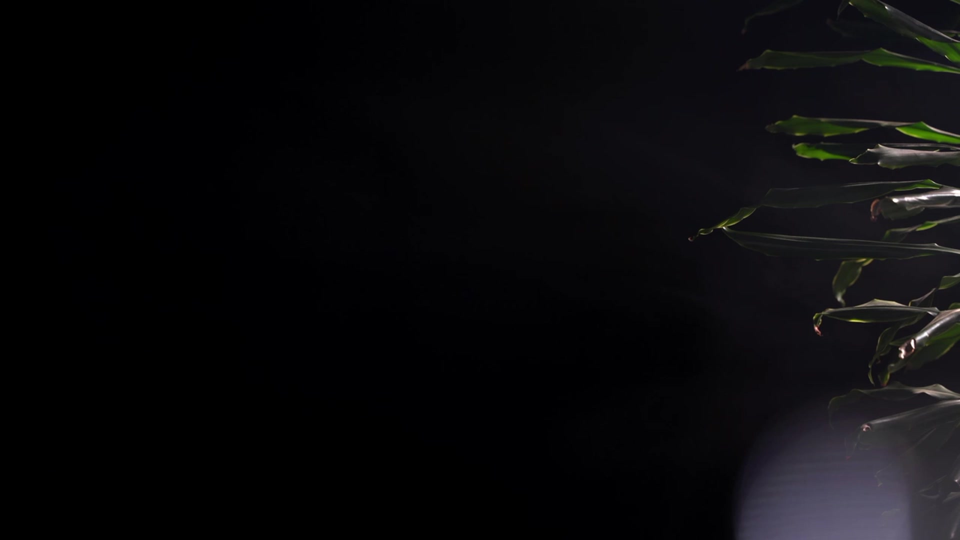 Gallery image thumbnail from Artlene's myfreecams stream on, 07/23/2023, 02:24 image 14 of 20