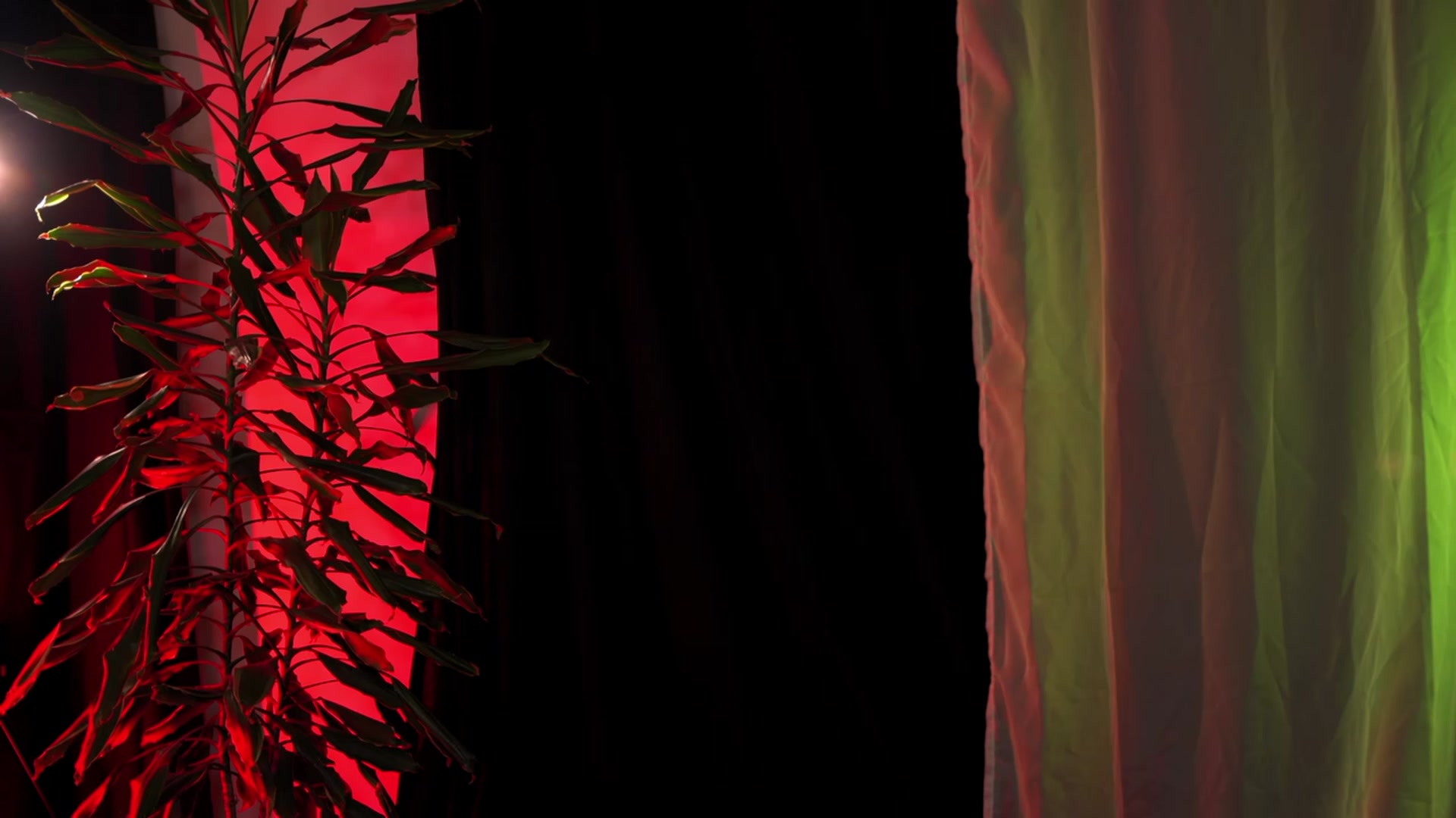 Gallery image thumbnail from Artlene's myfreecams stream on, 08/19/2023, 02:02 image 12 of 20