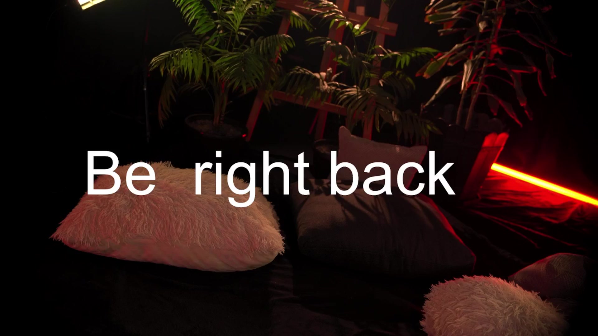 Gallery image thumbnail from Artlene's myfreecams stream on, 01/10/2026, 03:33 image 16 of 20