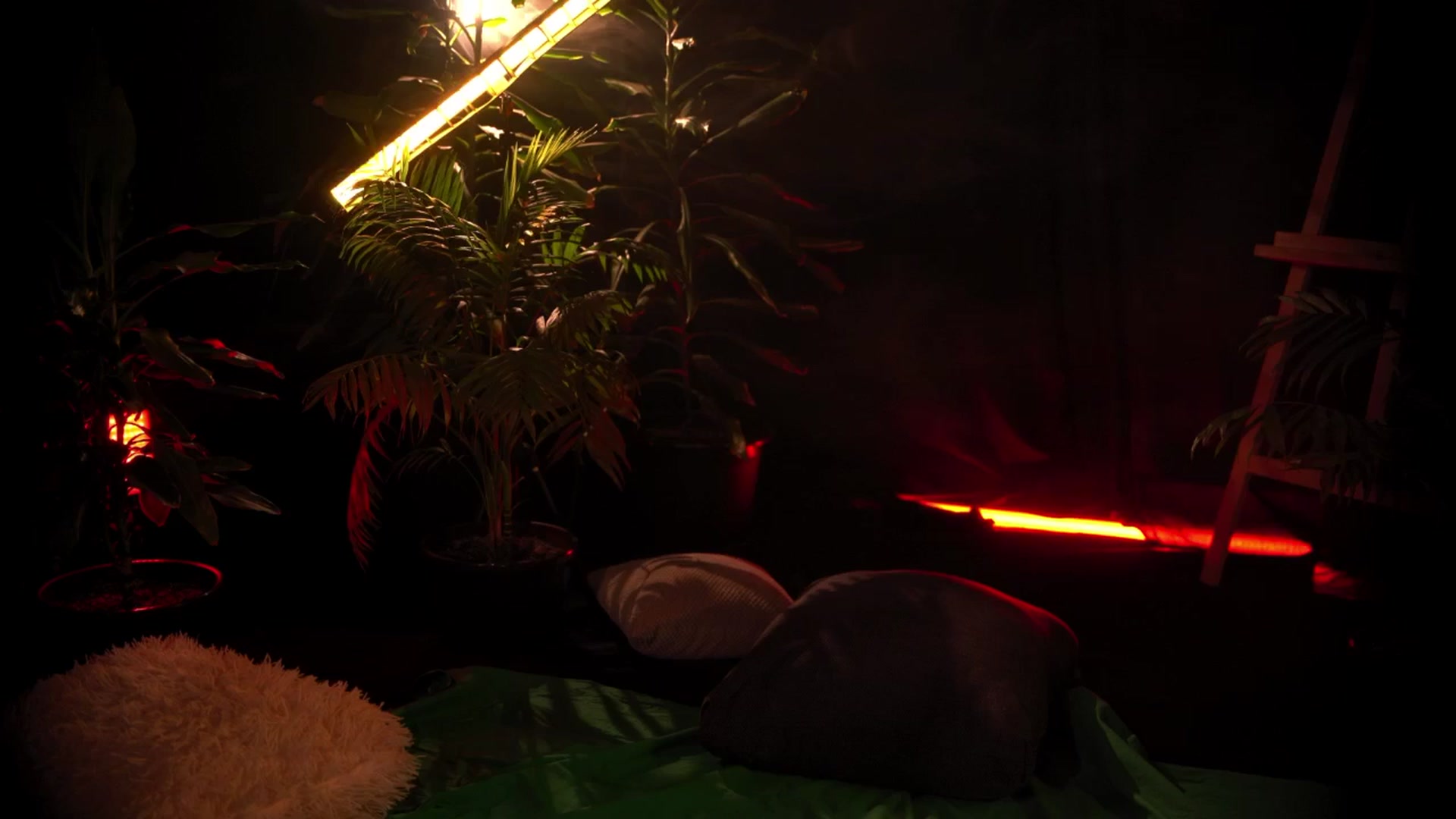 Gallery image thumbnail from Artlene's myfreecams stream on, 02/10/2026, 04:24 image 11 of 20