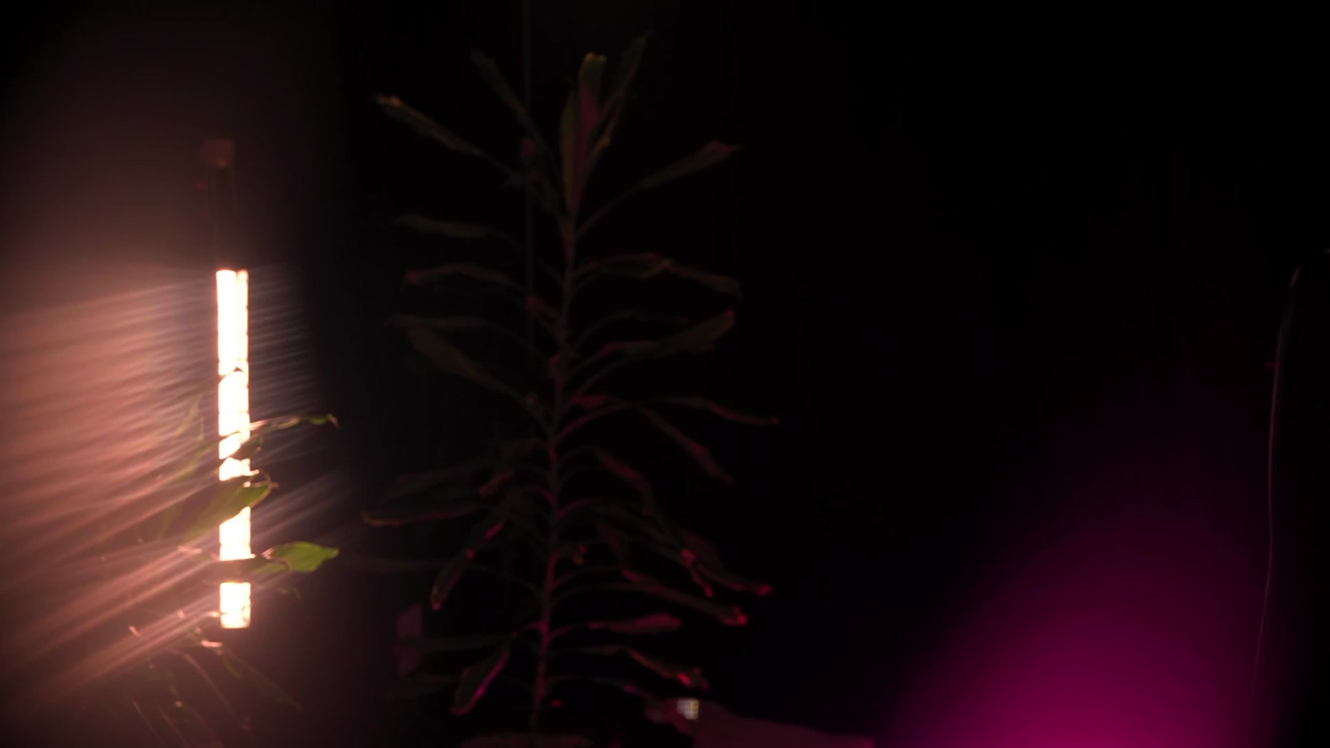 Gallery image thumbnail from Artlene's myfreecams stream on, 03/23/2026, 03:28 image 5 of 20