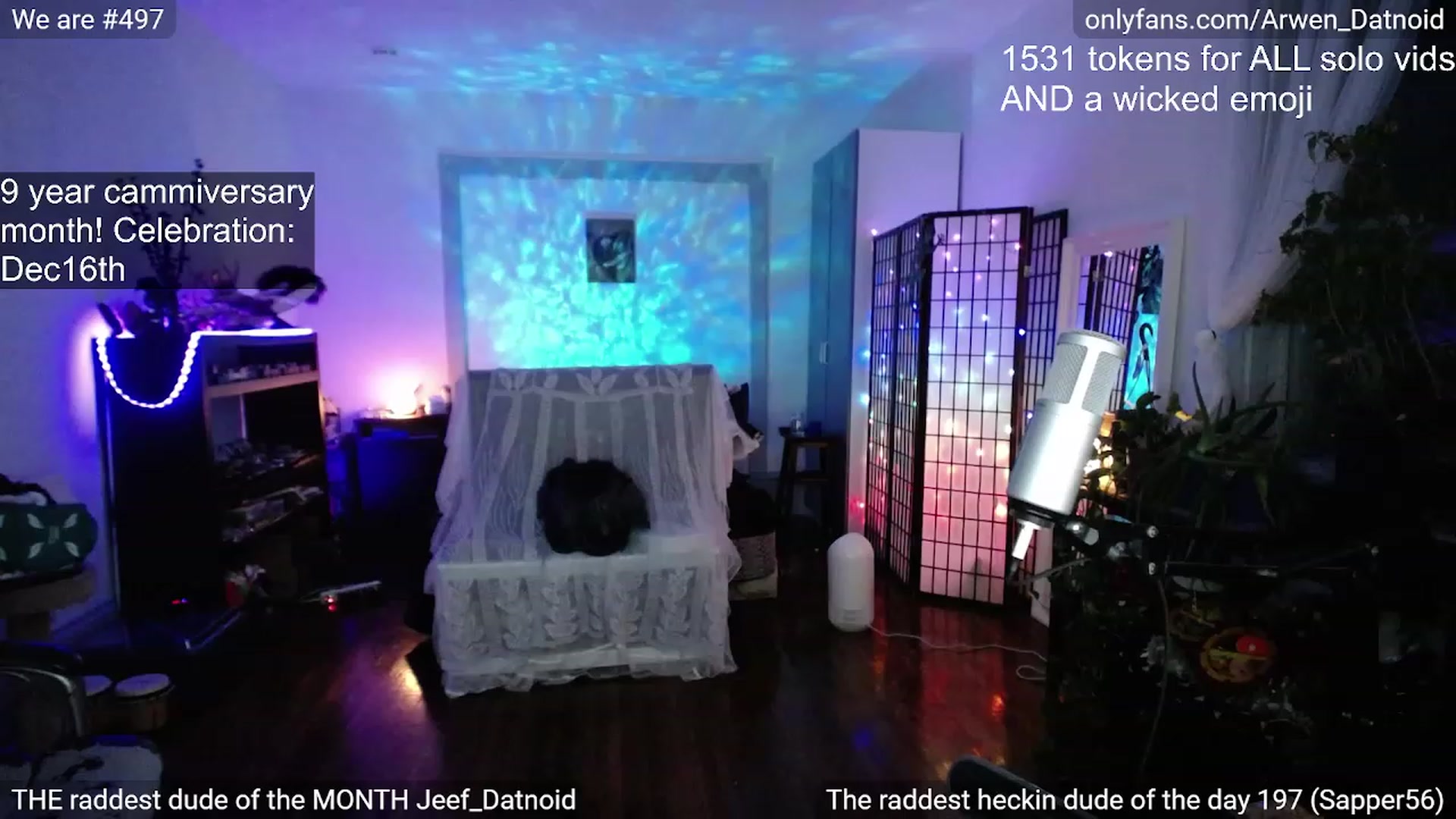 Gallery image thumbnail from Arwen_Datnoid's myfreecams stream on, 12/09/2022, 05:17 image 8 of 20