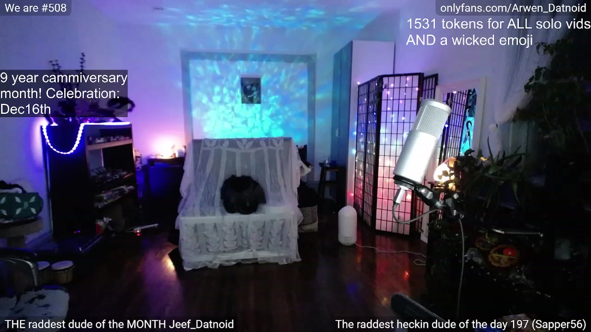 Gallery image thumbnail from Arwen_Datnoid's myfreecams stream on, 12/09/2022, 05:17 image 3 of 20