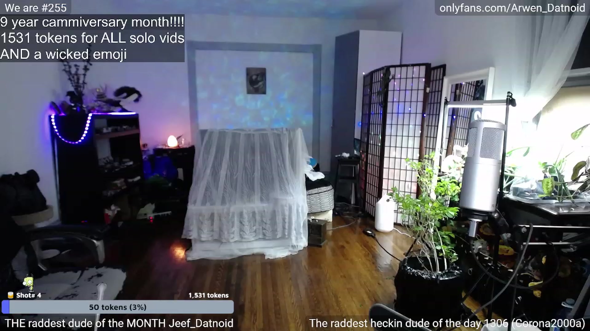 Gallery image thumbnail from Arwen_Datnoid's myfreecams stream on, 12/25/2022, 07:35 image 16 of 20