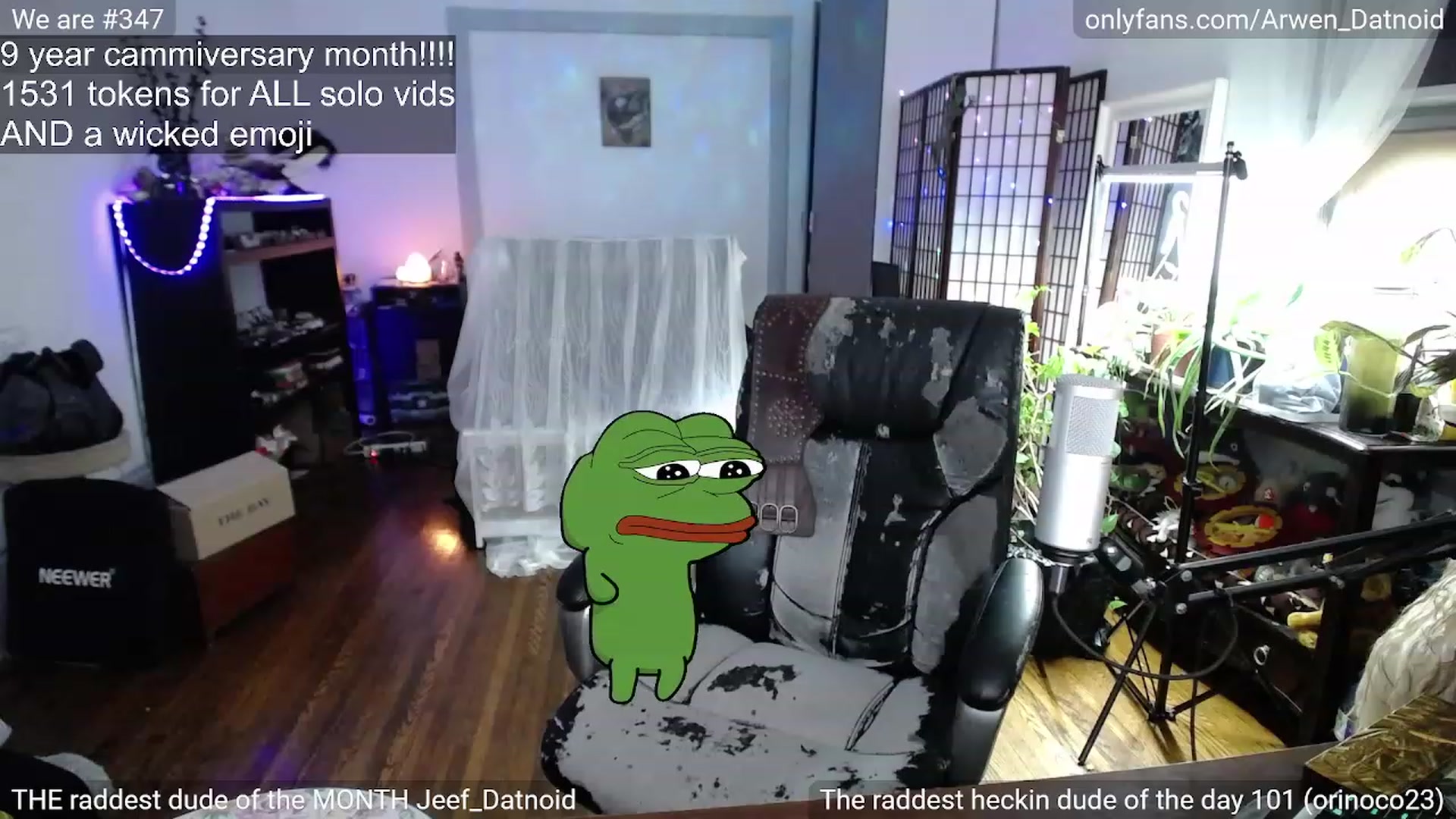 Gallery image thumbnail from Arwen_Datnoid's myfreecams stream on, 12/31/2022, 03:47 image 15 of 20
