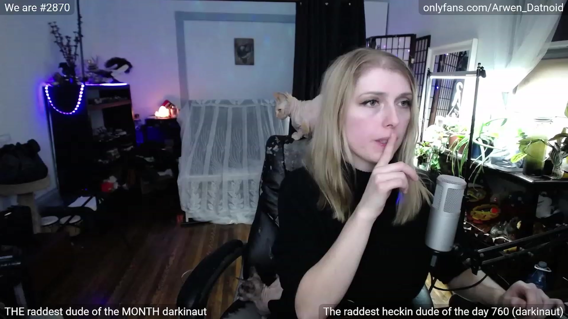Gallery image thumbnail from Arwen_Datnoid's myfreecams stream on, 01/06/2023, 05:28 image 4 of 20
