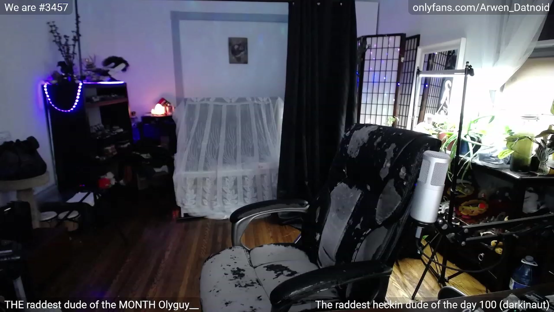 Gallery image thumbnail from Arwen_Datnoid's myfreecams stream on, 01/06/2023, 05:28 image 2 of 20