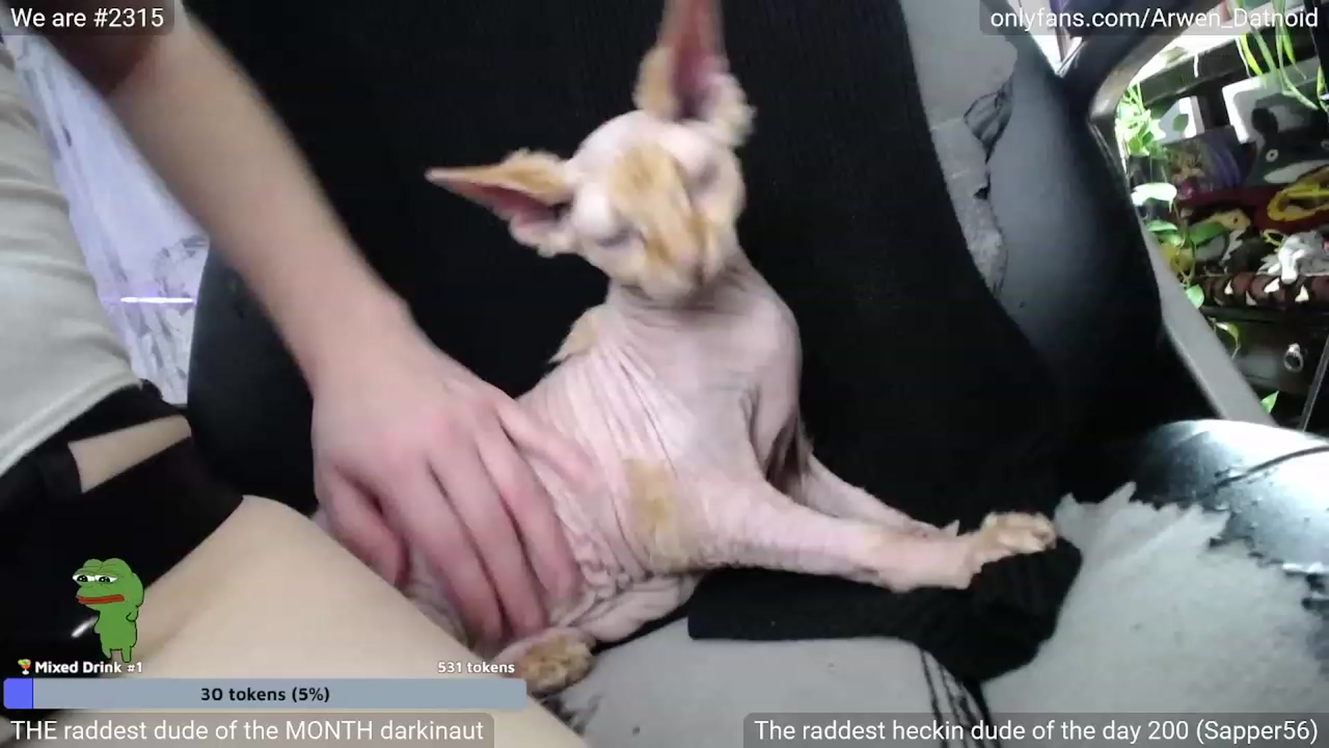 Gallery image thumbnail from Arwen_Datnoid's myfreecams stream on, 01/08/2023, 04:21 image 8 of 20