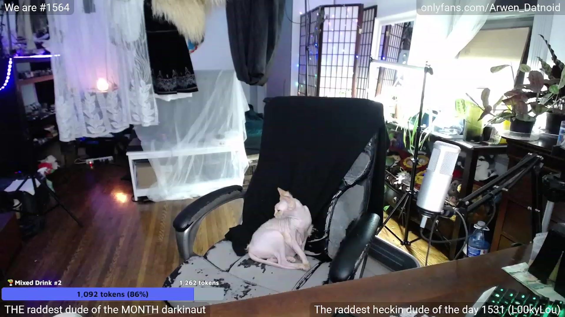 Gallery image thumbnail from Arwen_Datnoid's myfreecams stream on, 01/08/2023, 07:43 image 18 of 20