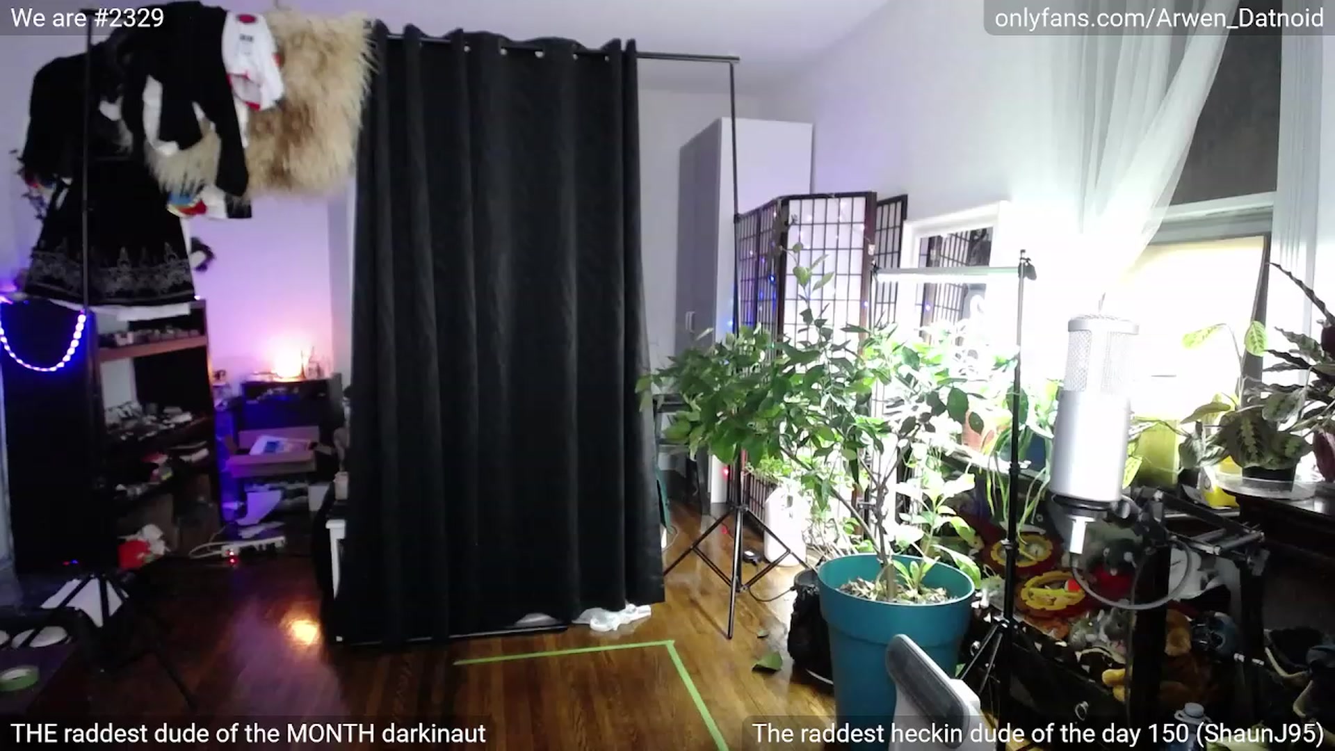 Gallery image thumbnail from Arwen_Datnoid's myfreecams stream on, 01/13/2023, 05:30 image 3 of 20