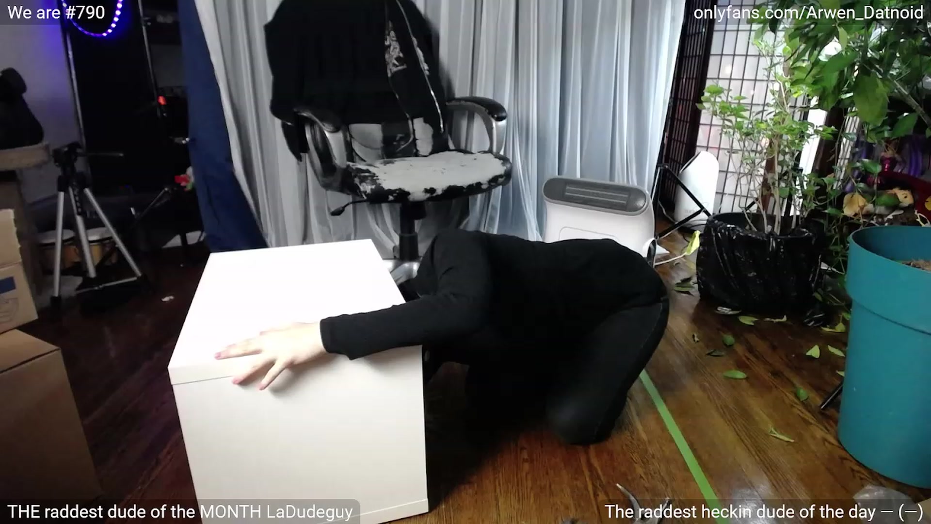 Gallery image thumbnail from Arwen_Datnoid's myfreecams stream on, 01/20/2023, 04:46 image 5 of 20