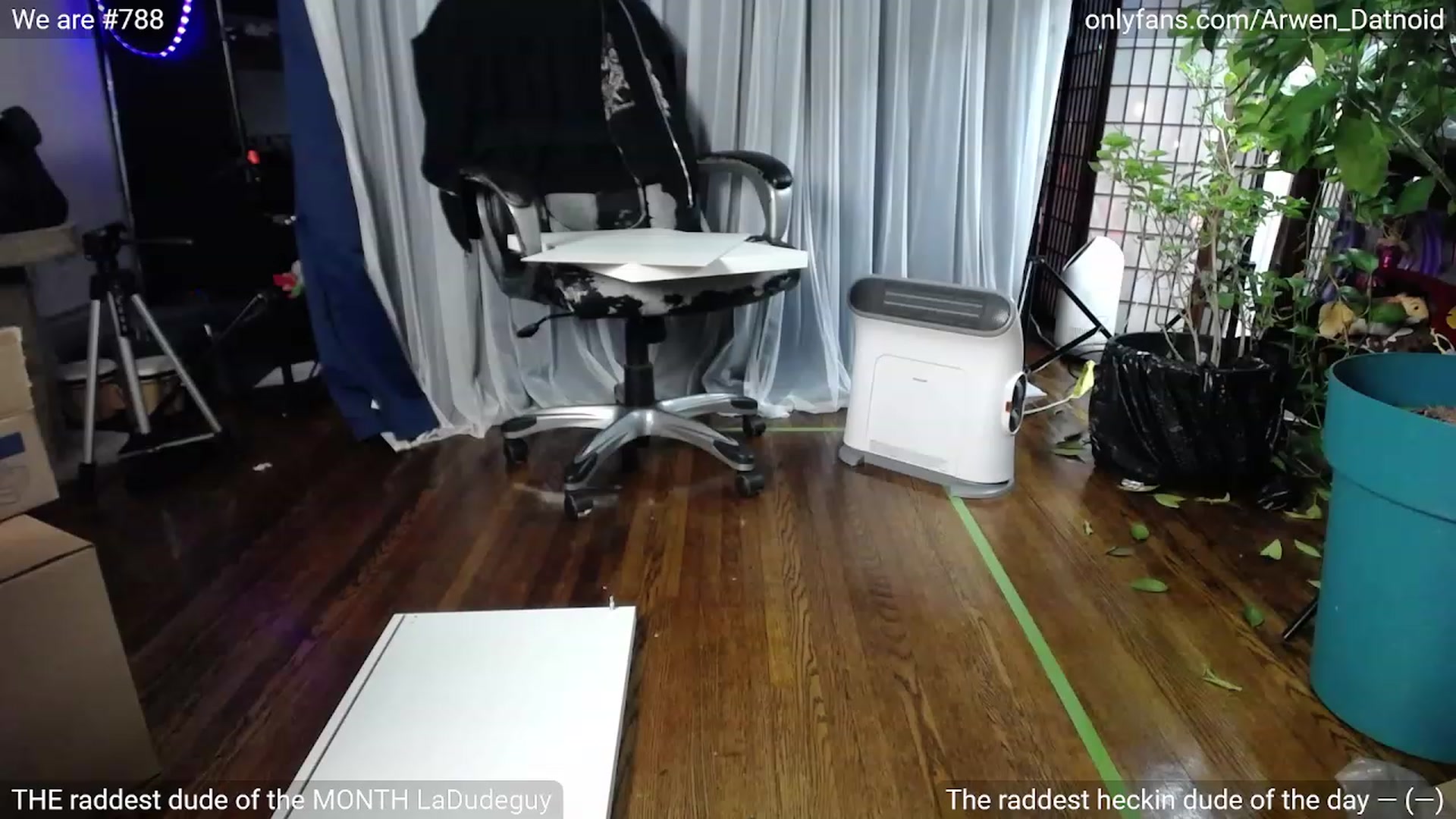 Gallery image thumbnail from Arwen_Datnoid's myfreecams stream on, 01/20/2023, 04:46 image 2 of 20
